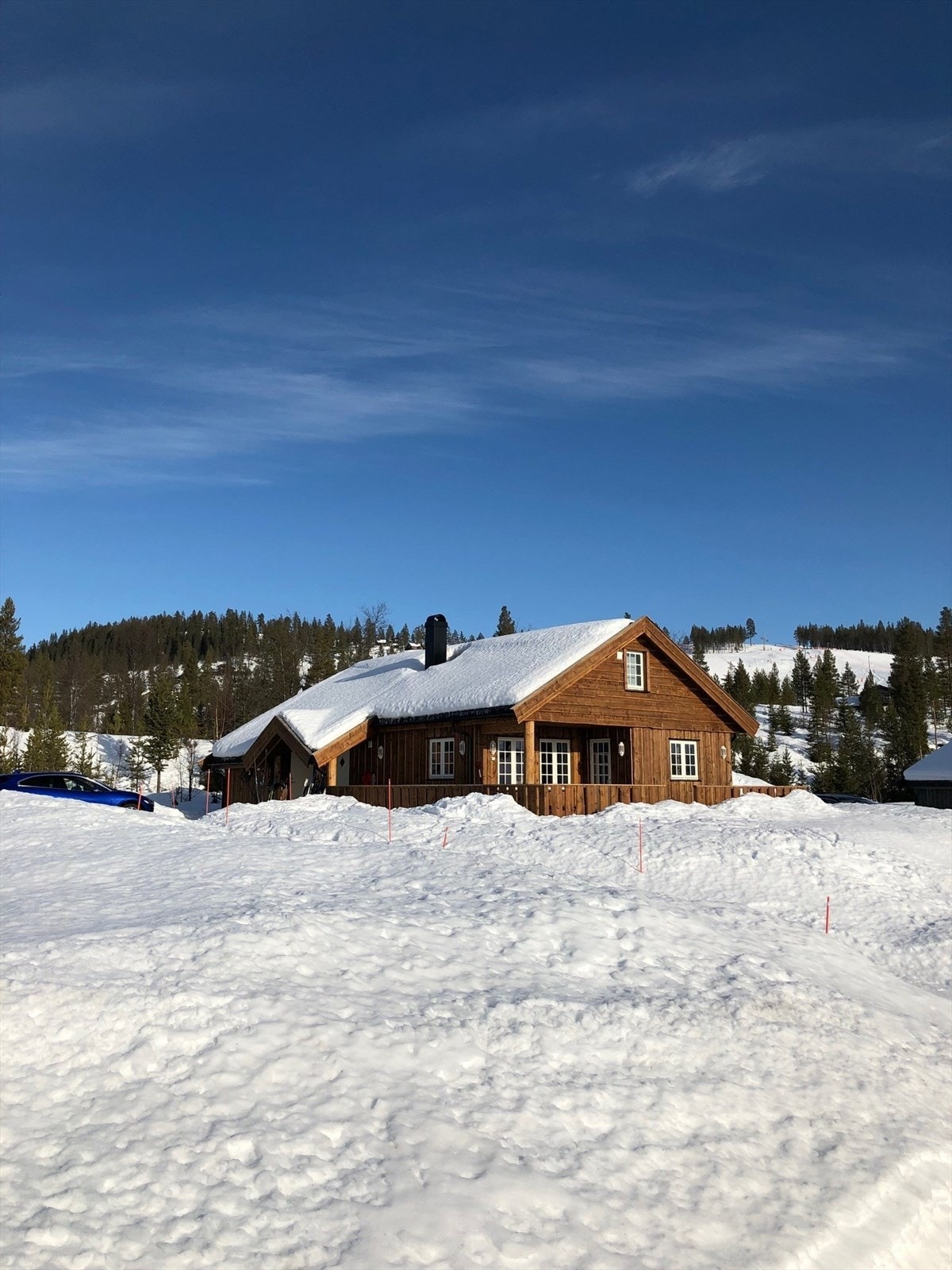 Privat bilde- vinter. Galleribilde