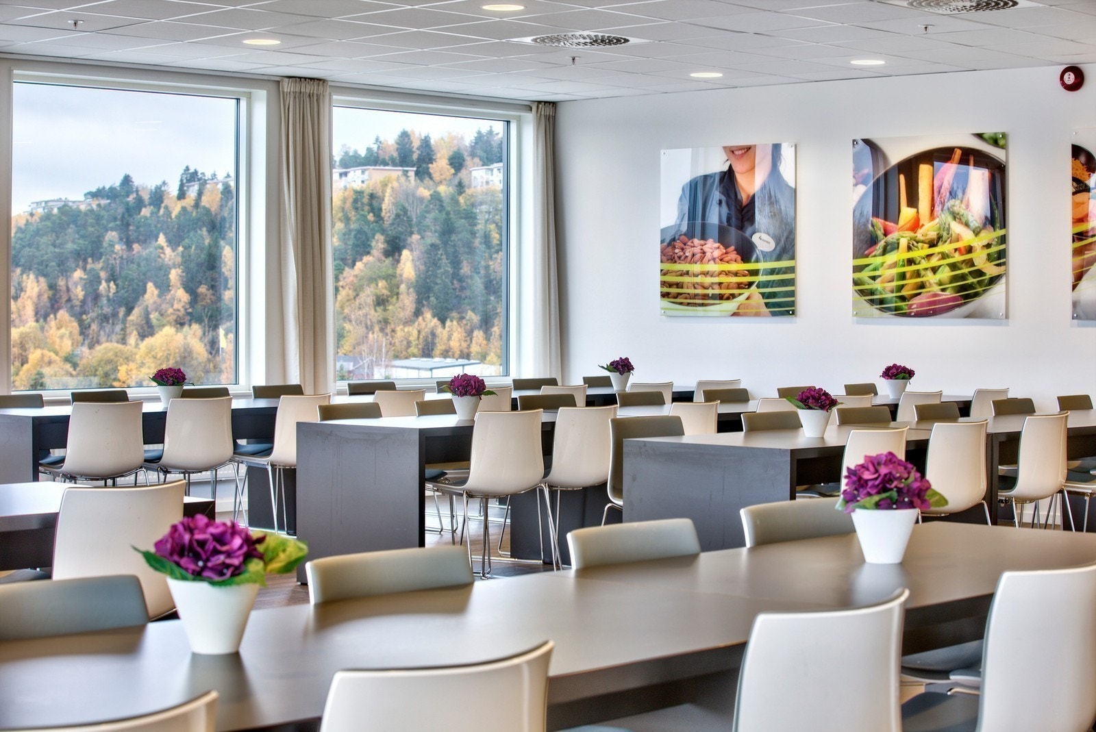 Kantine Galleribilde