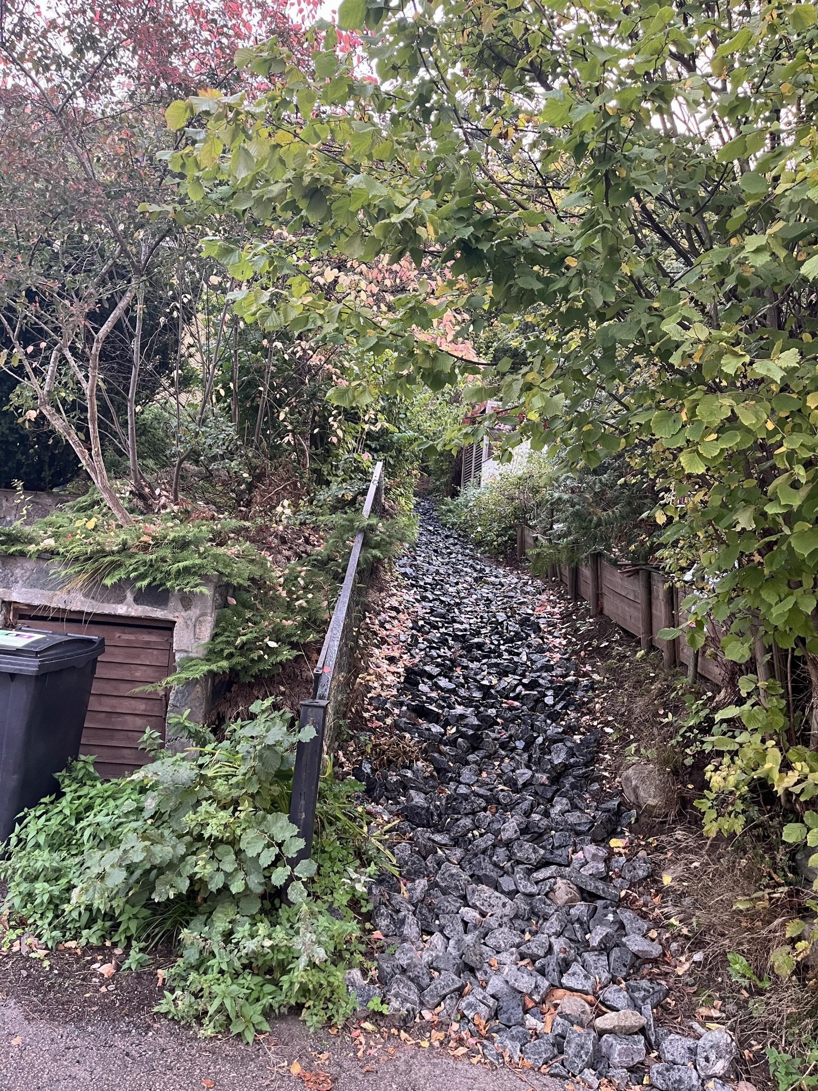 Denne stien øverst i Skogbakken tar deg videre gjennom hele Ekebergskogen Galleribilde