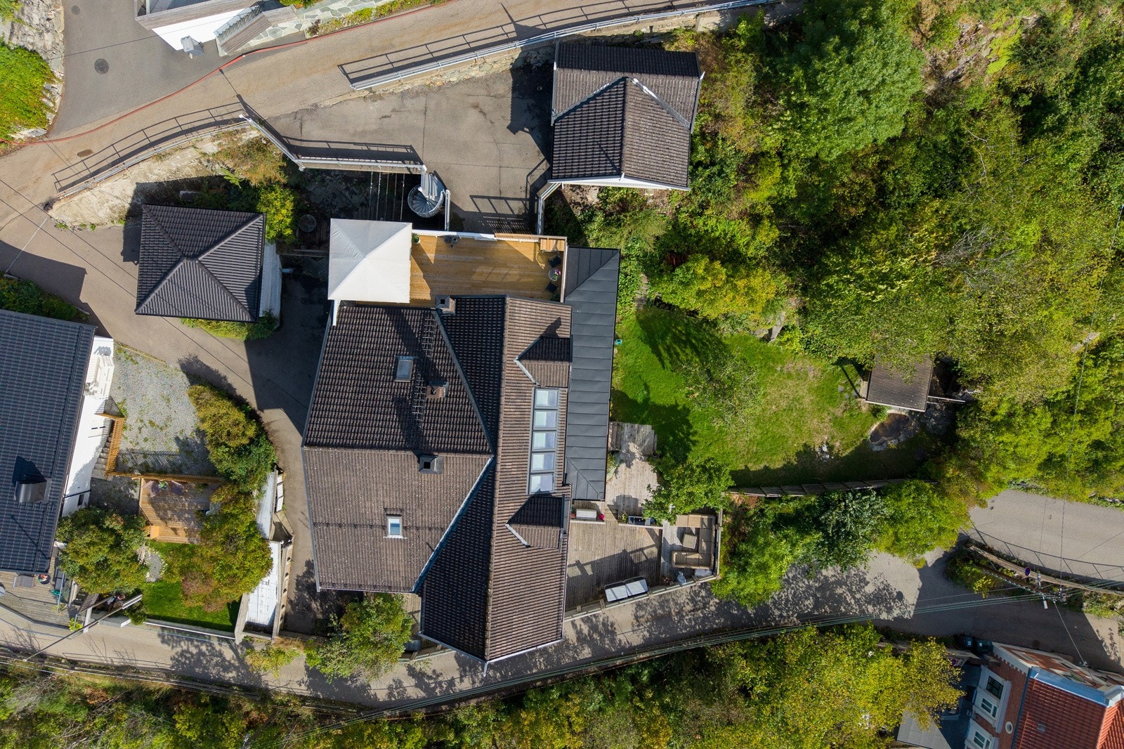 Sett ovenfra Galleribilde