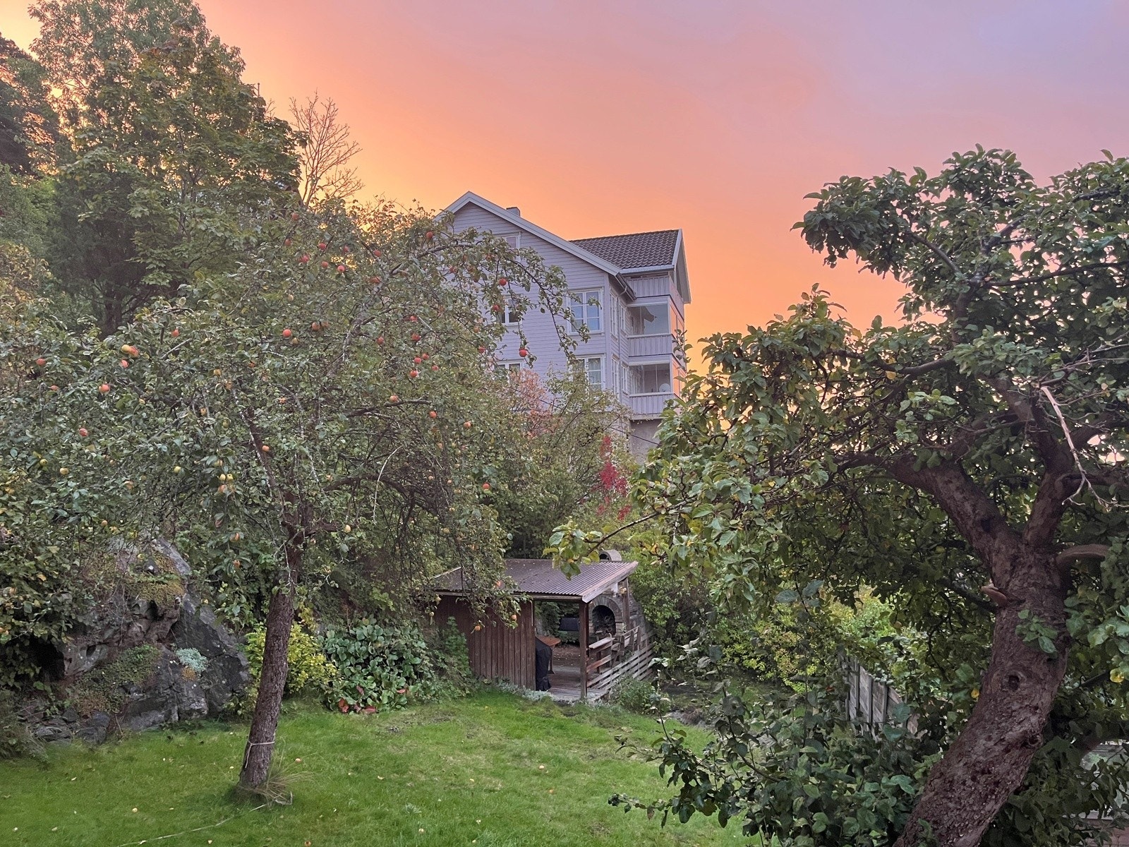 Landlig idyll i sameiets hage Galleribilde