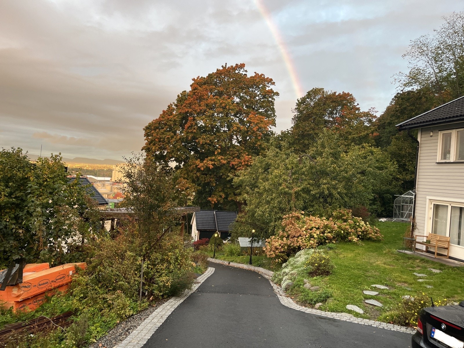 Øverst i Skogbakken Galleribilde