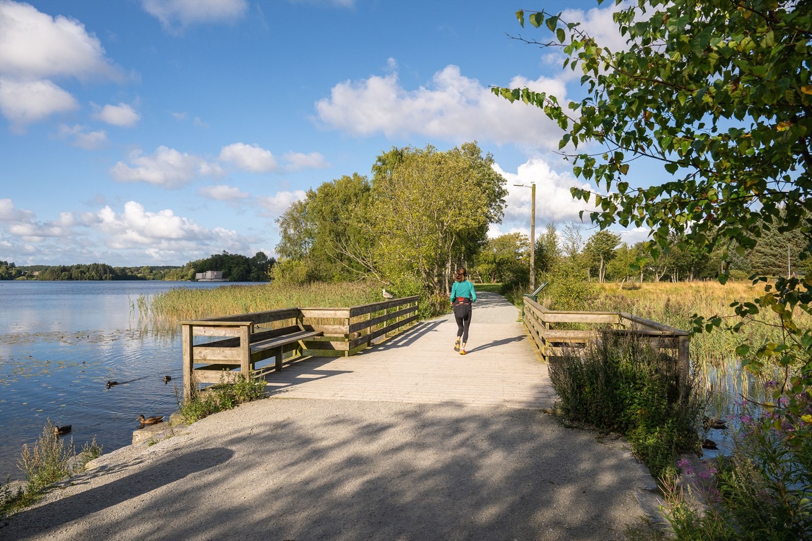 Stokkavannet Galleribilde