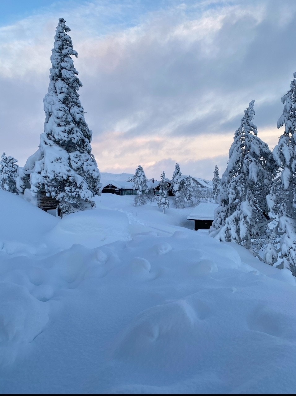 Her kan du virkelig nyte vinteren, med skisporet like utenfor hytteveggen. Her er mulighetene mange, et perfekt utgangspunkt for fine opplevelser. Galleribilde