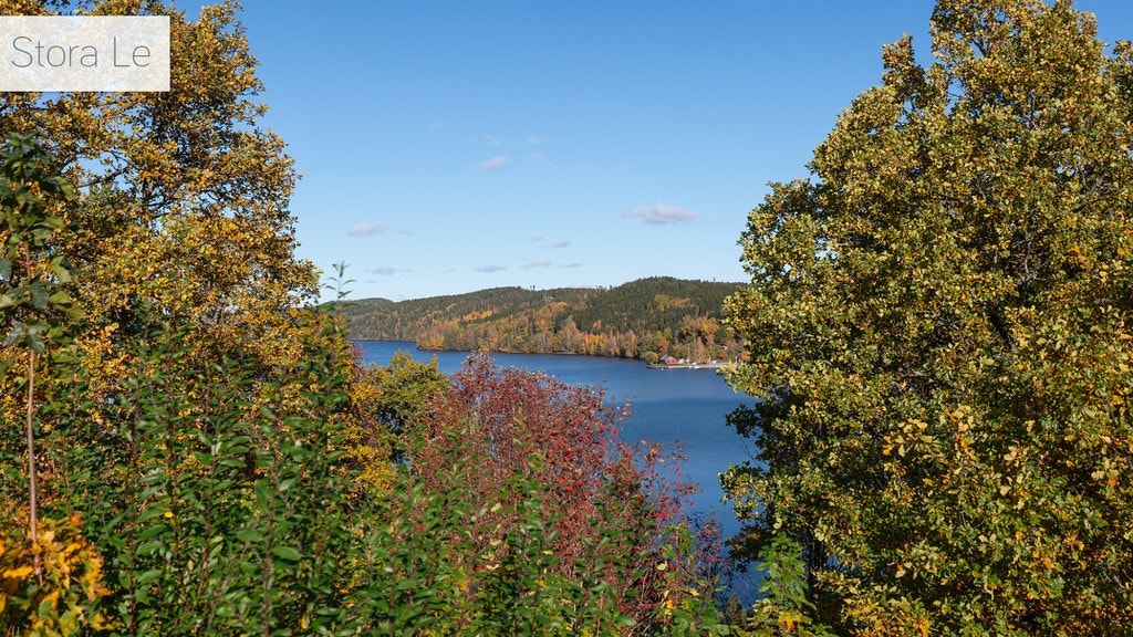 Stora Le.jpg Galleribilde