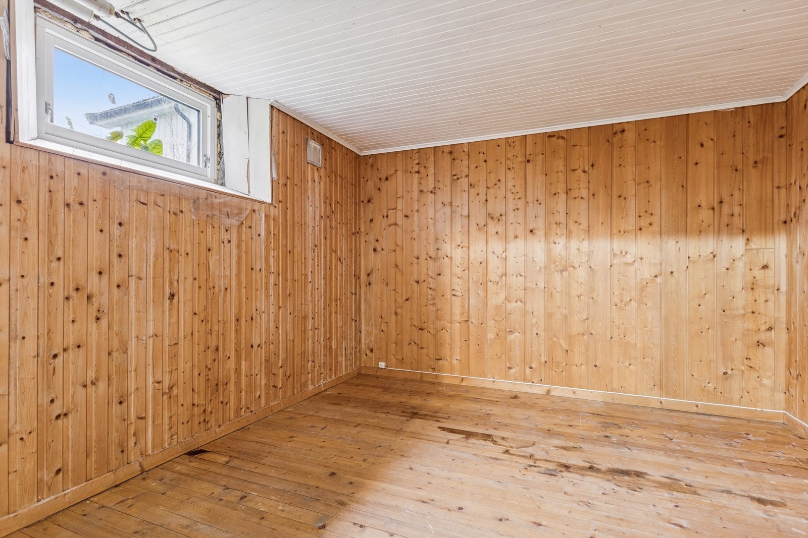 Disp.rom i kjeller Galleribilde