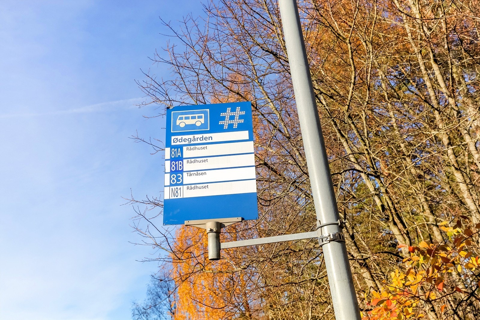 Få minutters gangavstand til bussholdeplass - ekspressbussforbindelse til Oslo morgen og ettermiddag (omkring 25 minutter) Galleribilde