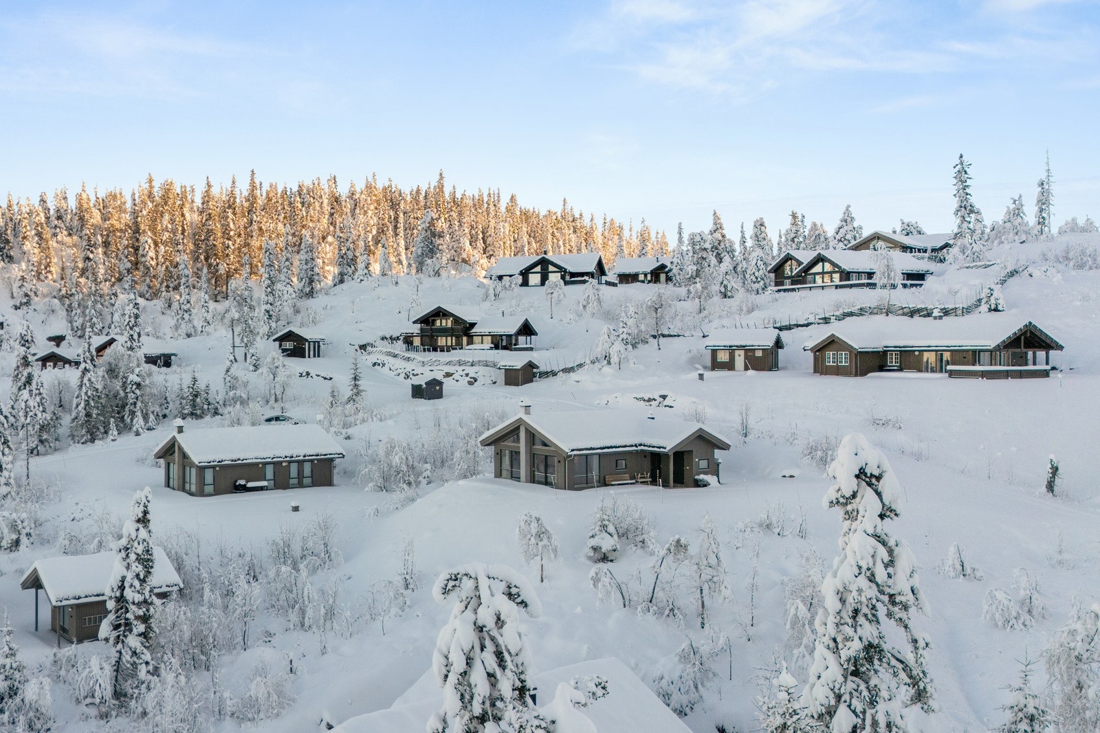 Velkommen på visning! Galleribilde