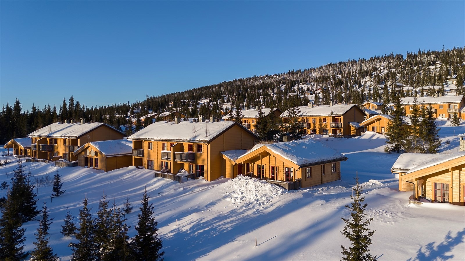 Grusede interne veier i området med biloppstillingsplasser utenfor hyttene. Galleribilde