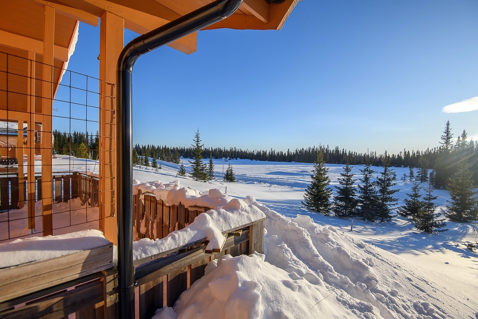 En lun og fin uteplass i solveggen. Galleribilde