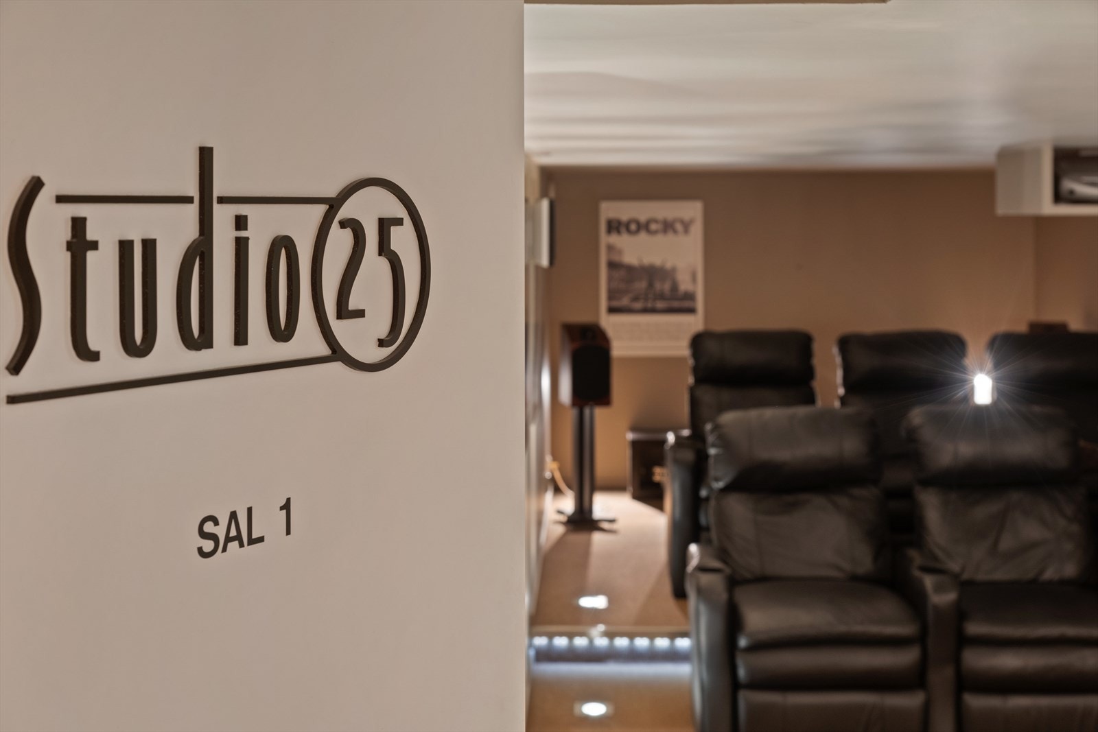 Egen kino i kjelleren. Galleribilde