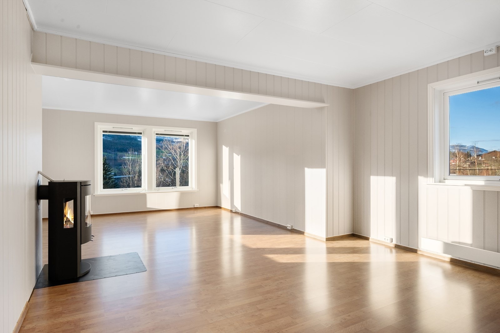 Boligen har en lys og luftig stue. Galleribilde