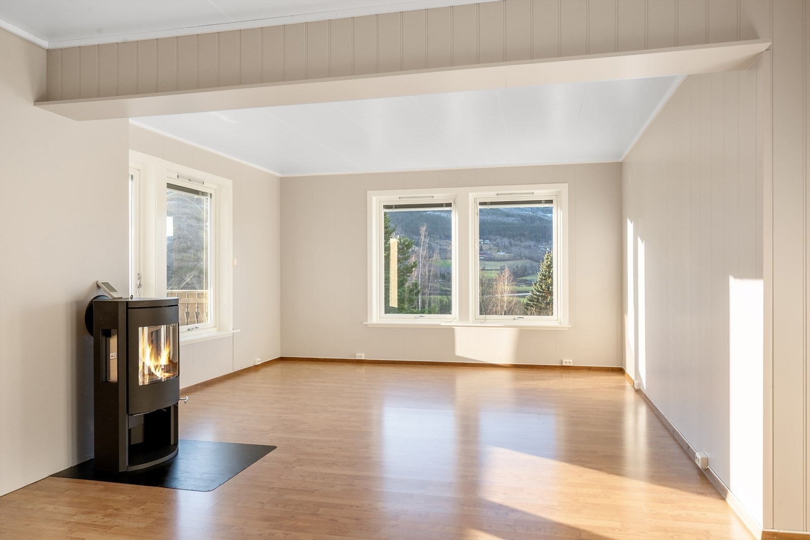 Peisovn sørger for god og lun varme. Galleribilde