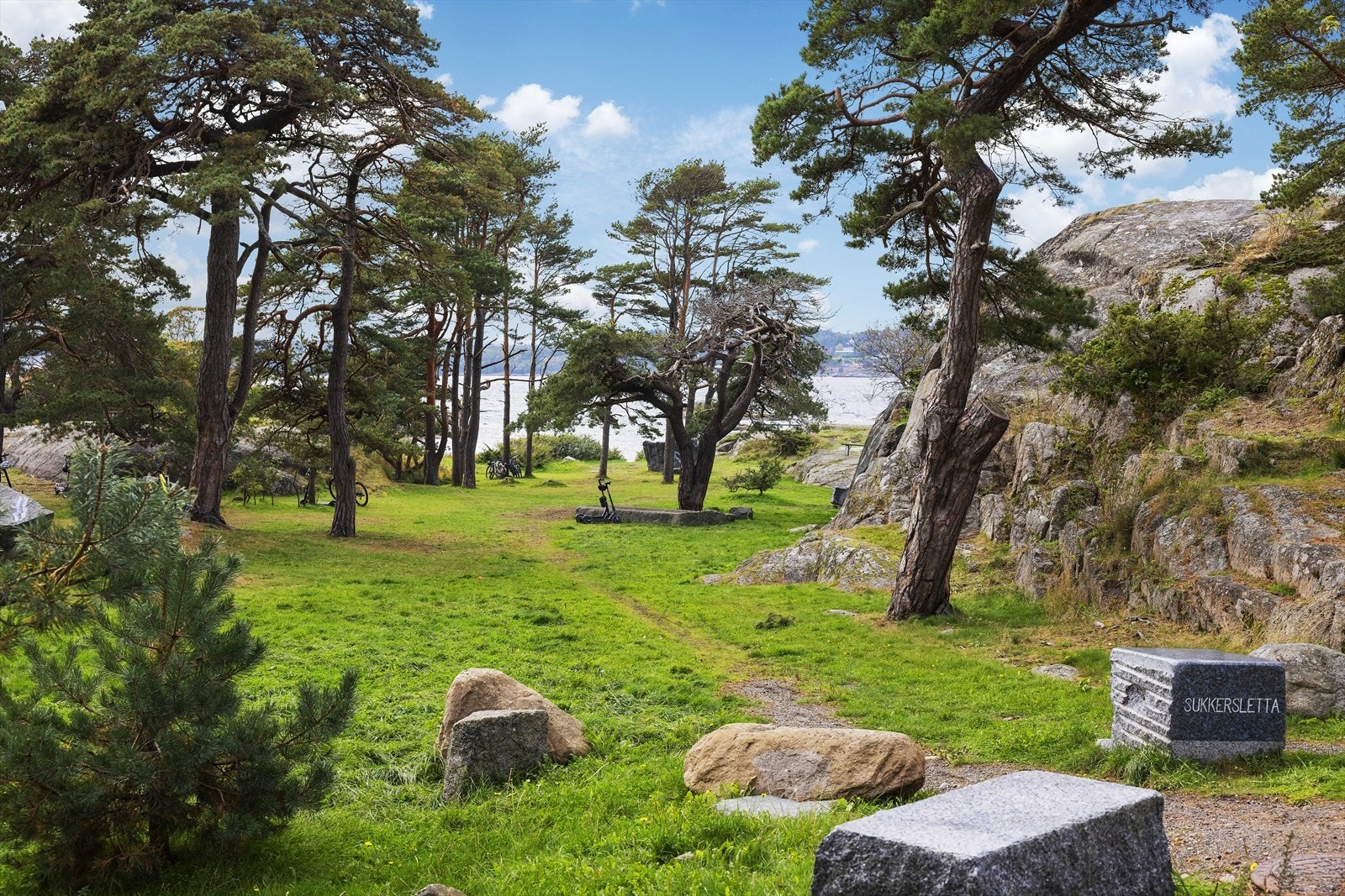 Nærområde Galleribilde