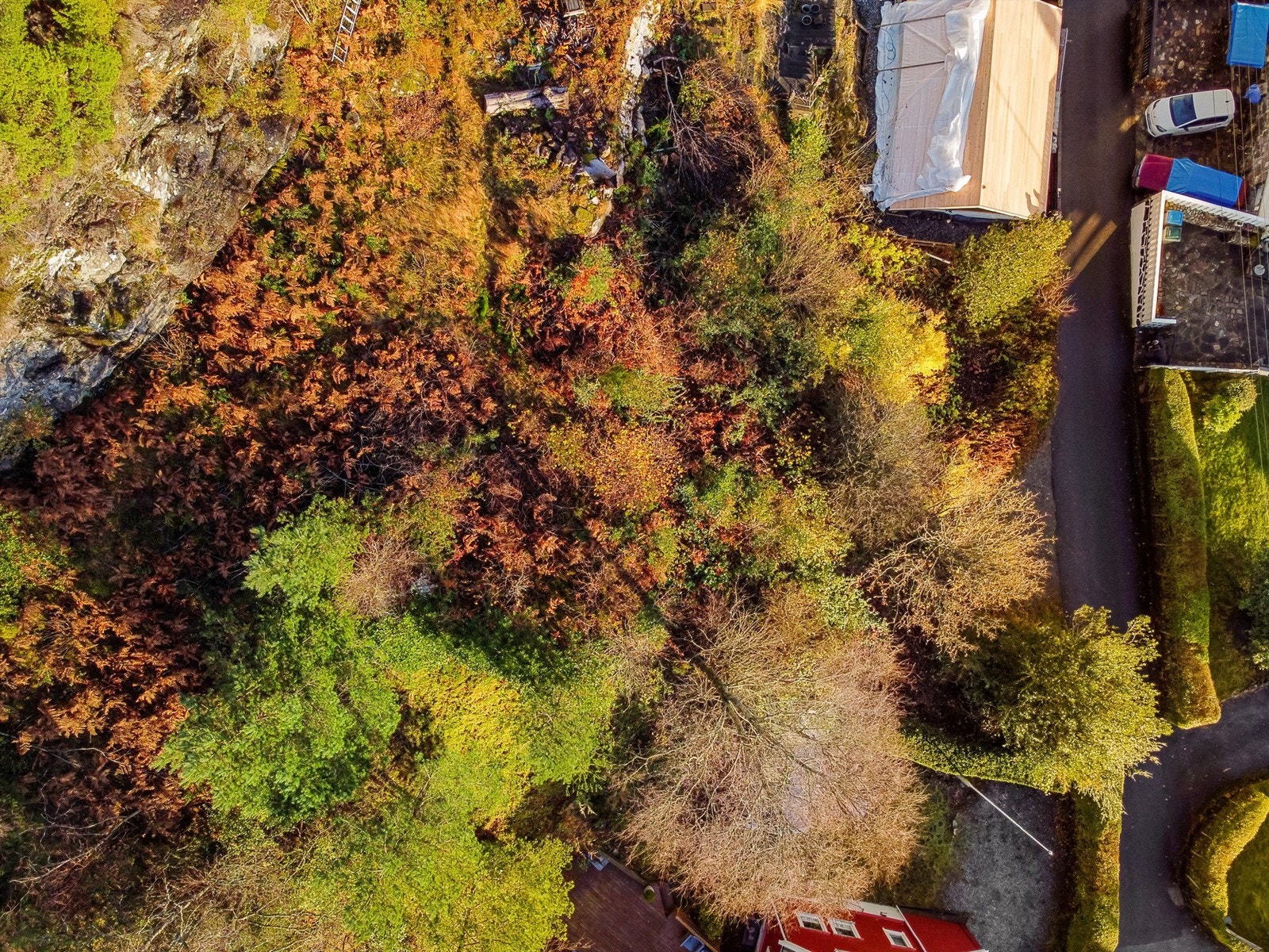 - Krogsveen Galleribilde