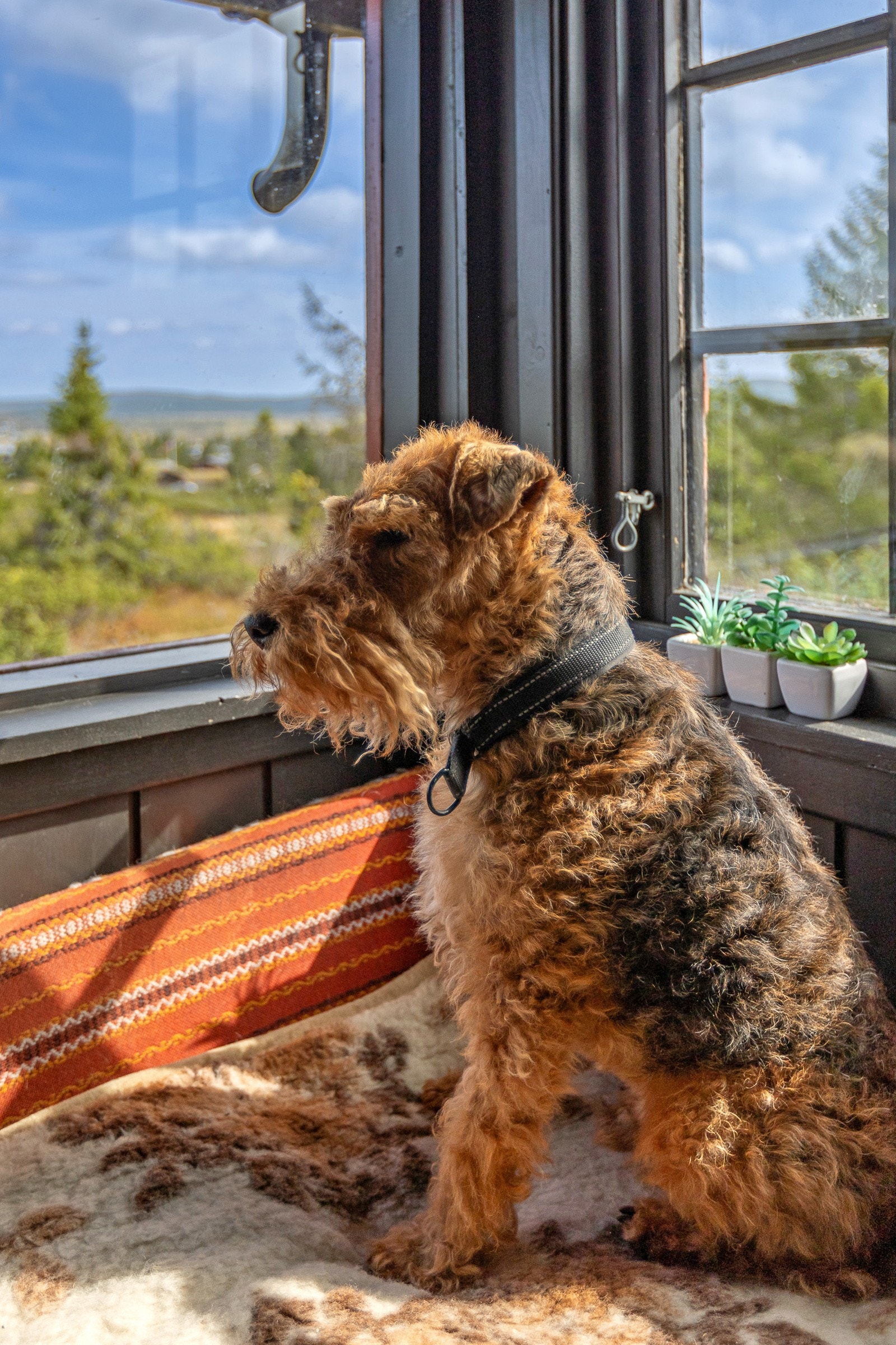 Flere som ønsker å nyte utsikten Galleribilde