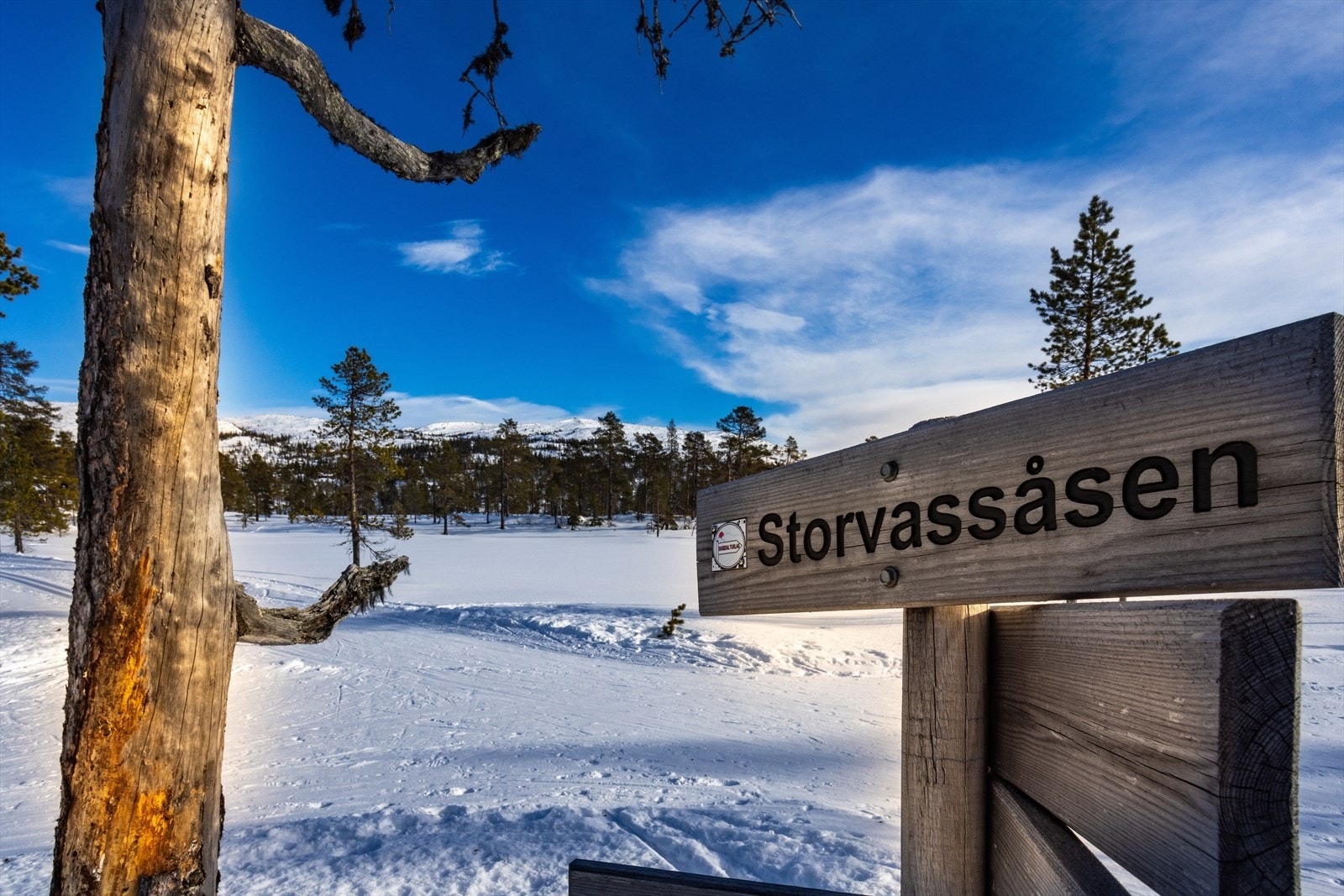 Fra hytta er det kort vei til flotte langrennsløyper med hele 283 km preparert løype innenfor 15 km. Galleribilde