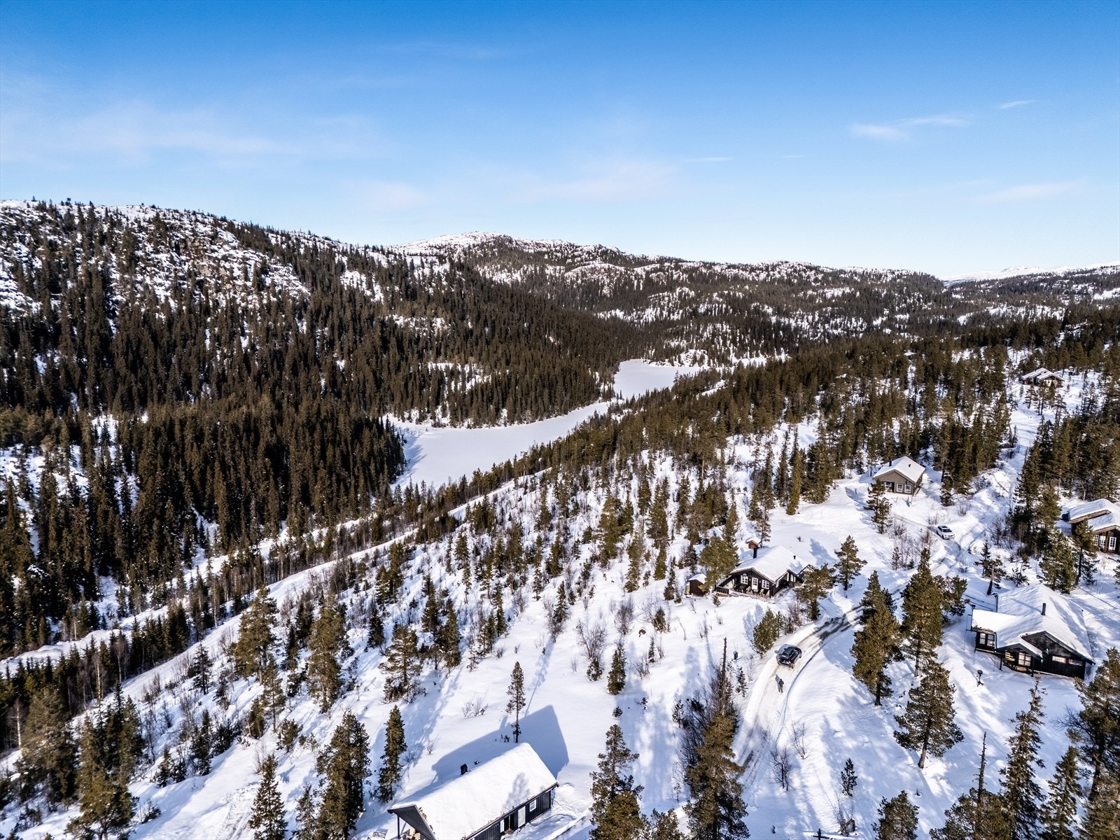 Velkommen til en hyggelig visning! Galleribilde