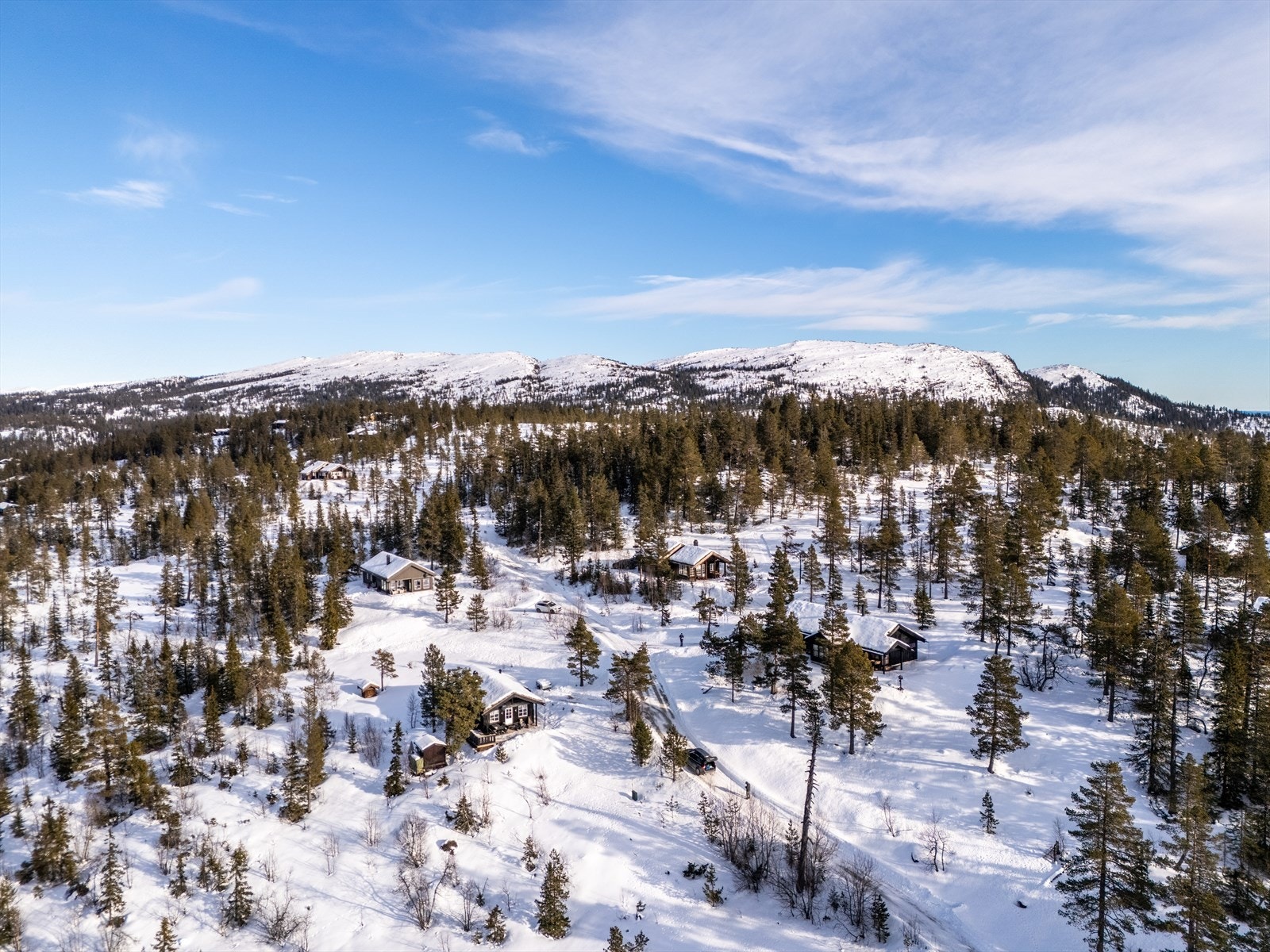Trillemarka naturreservat og den populære Madonnastien, kåret til en av Norges beste turruter, gir deg unike opplevelser i vakre omgivelser. Galleribilde