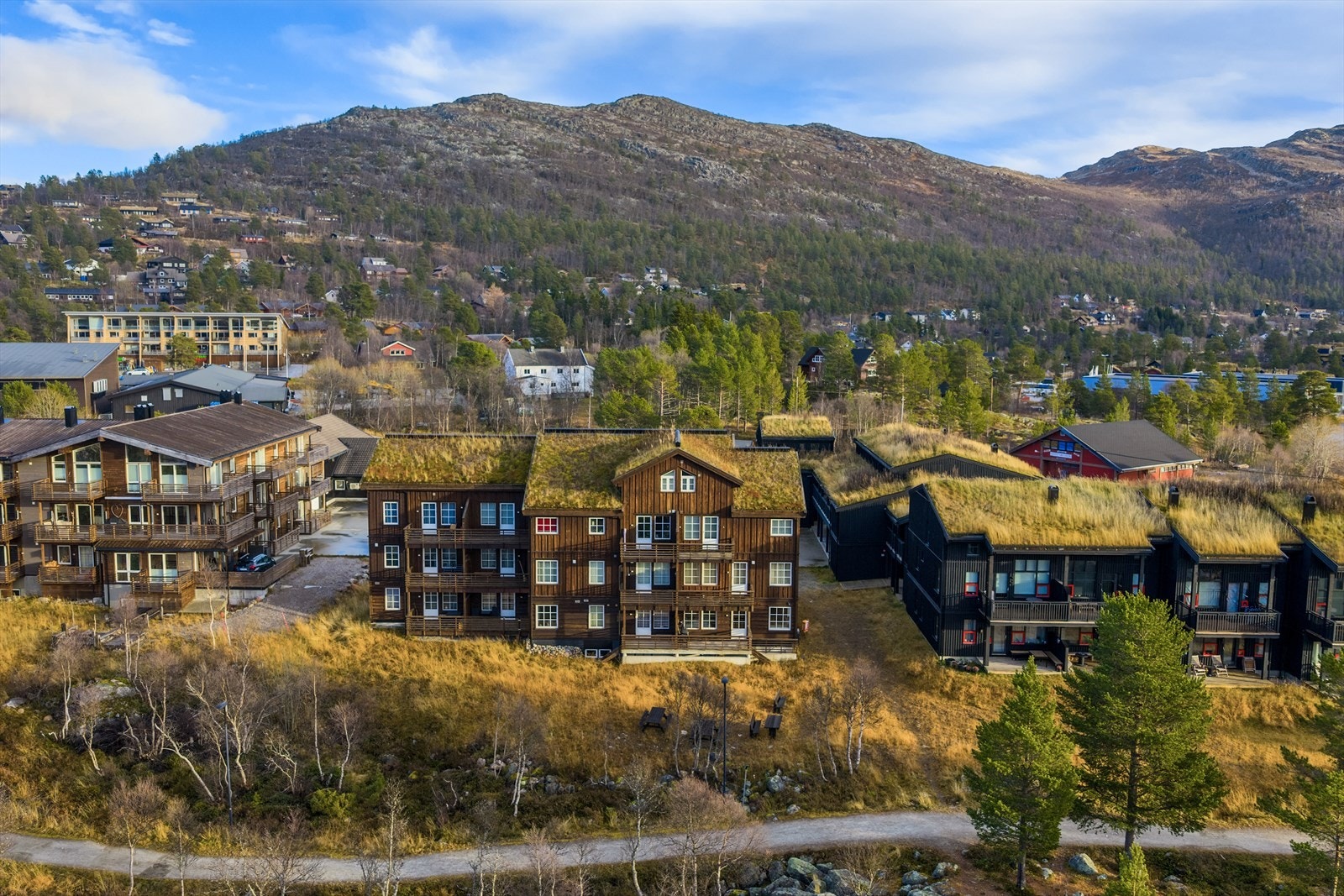 311533_DJI_20251103015124_0145_D.jpg Galleribilde