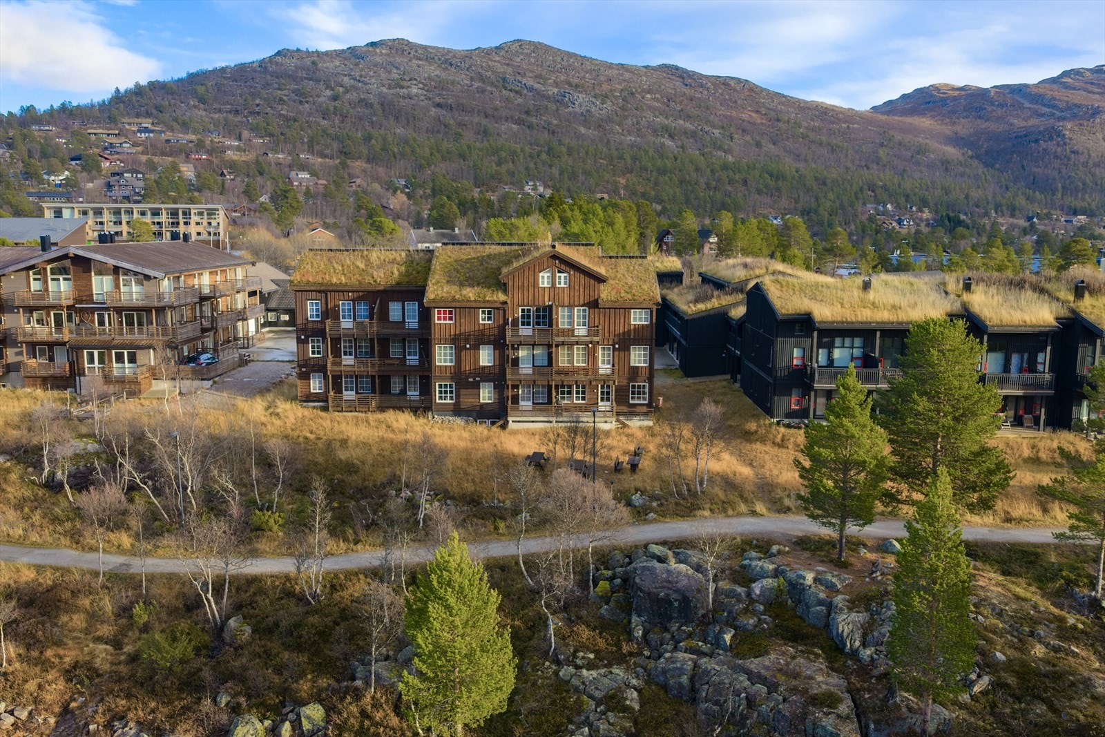 311533_DJI_20251103015143_0146_D.jpg Galleribilde