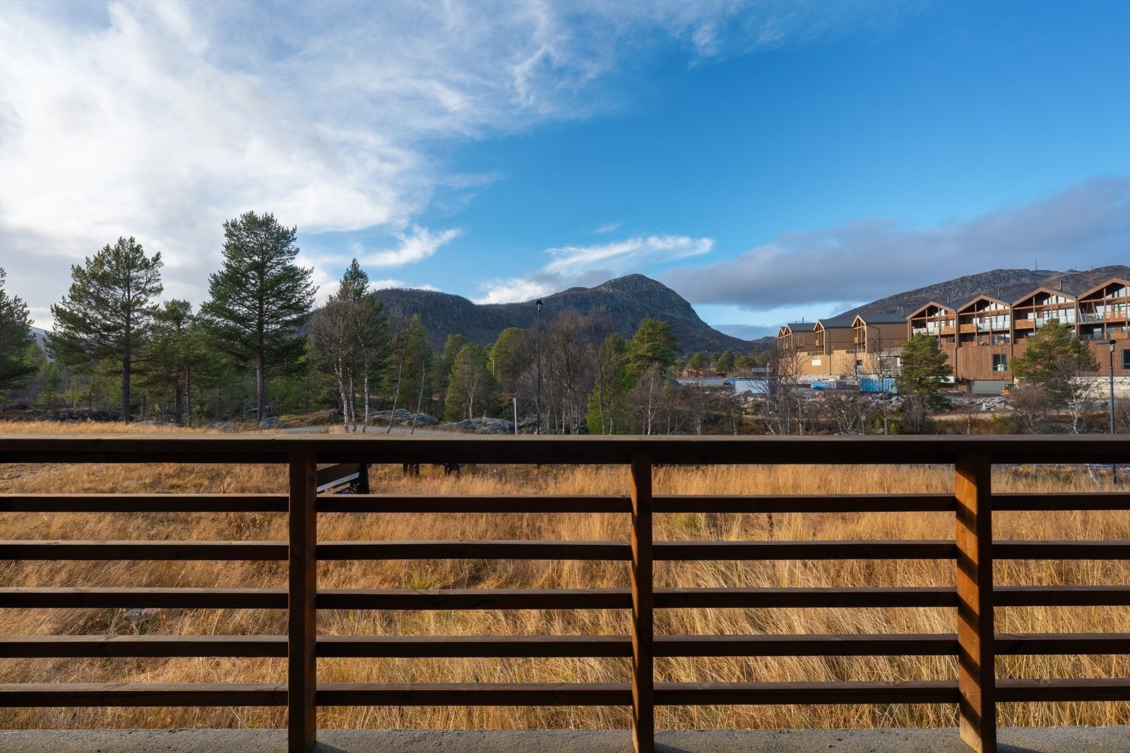 311533_DSC06222.jpg Galleribilde