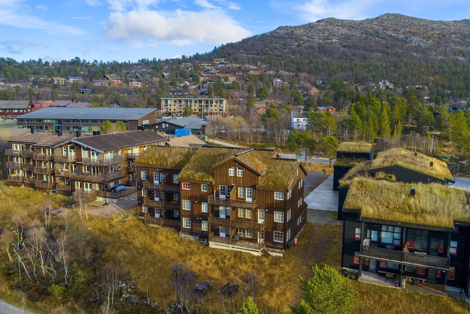 311533_DJI_20251103015104_0144_D.jpg Galleribilde