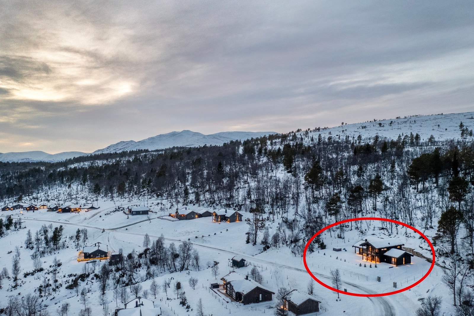 Velkommen til visning! Galleribilde