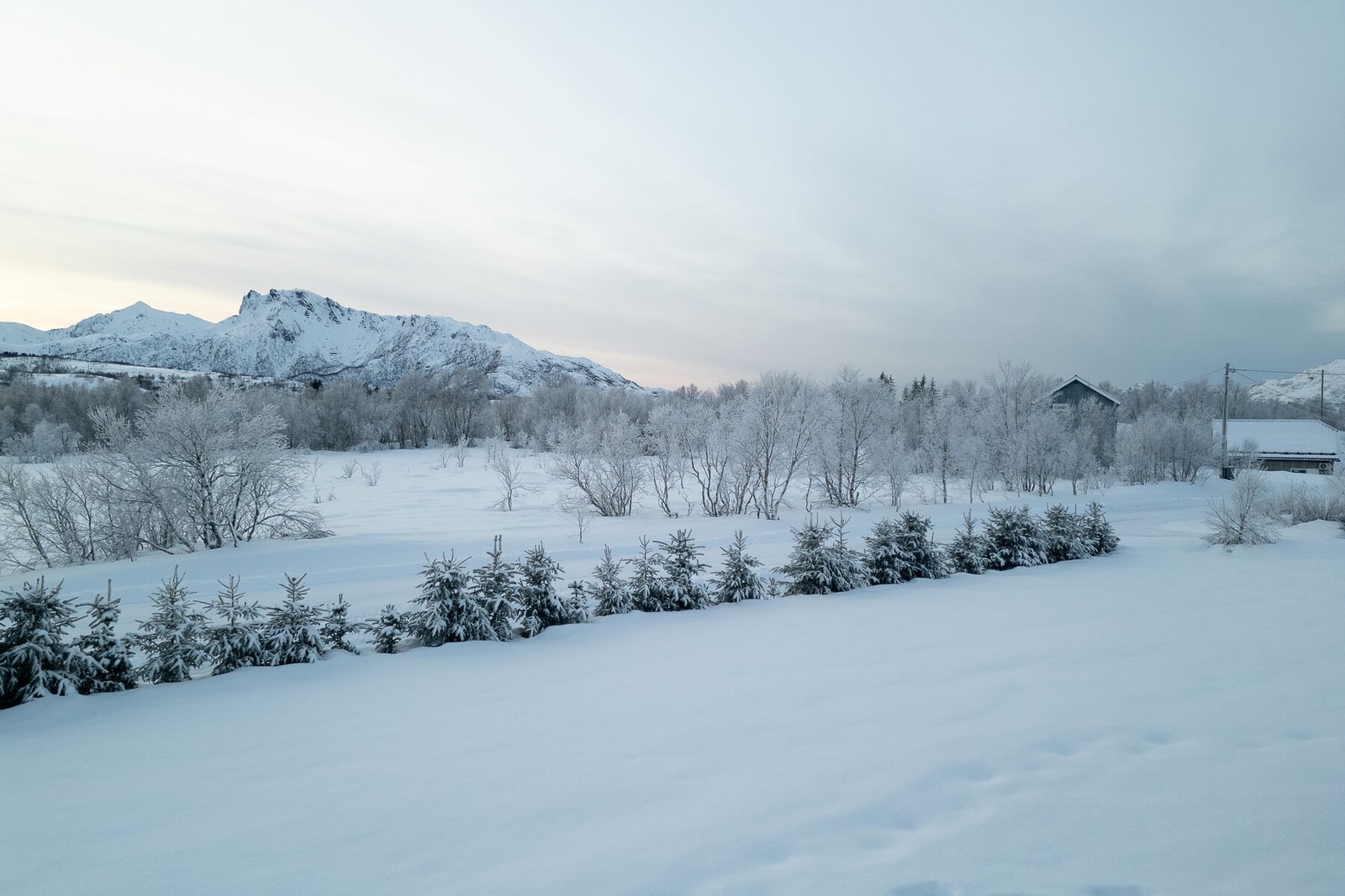Utsikten Galleribilde