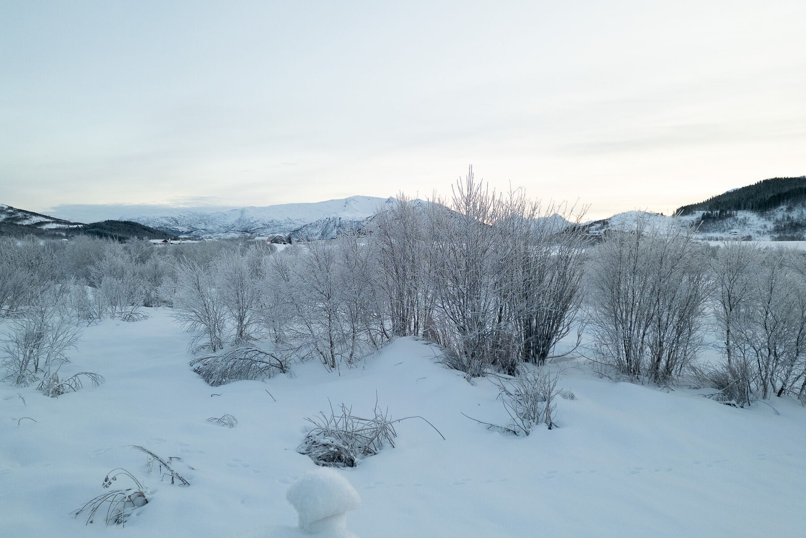 Utsikten Galleribilde