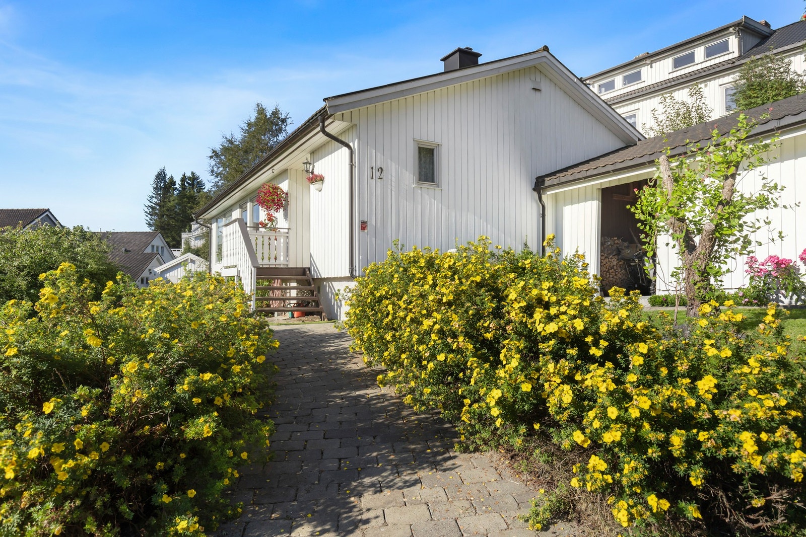 Velkommen til en hyggelig visning! Galleribilde