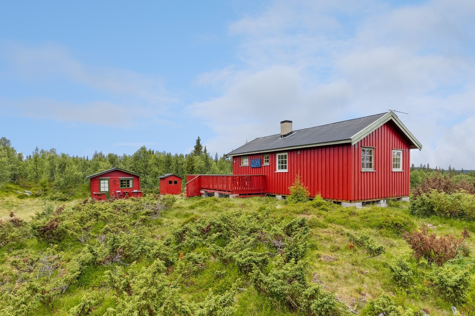 Hytta vil være et meget godt utgangspunkt for fine turer både sommer og vinter. Galleribilde