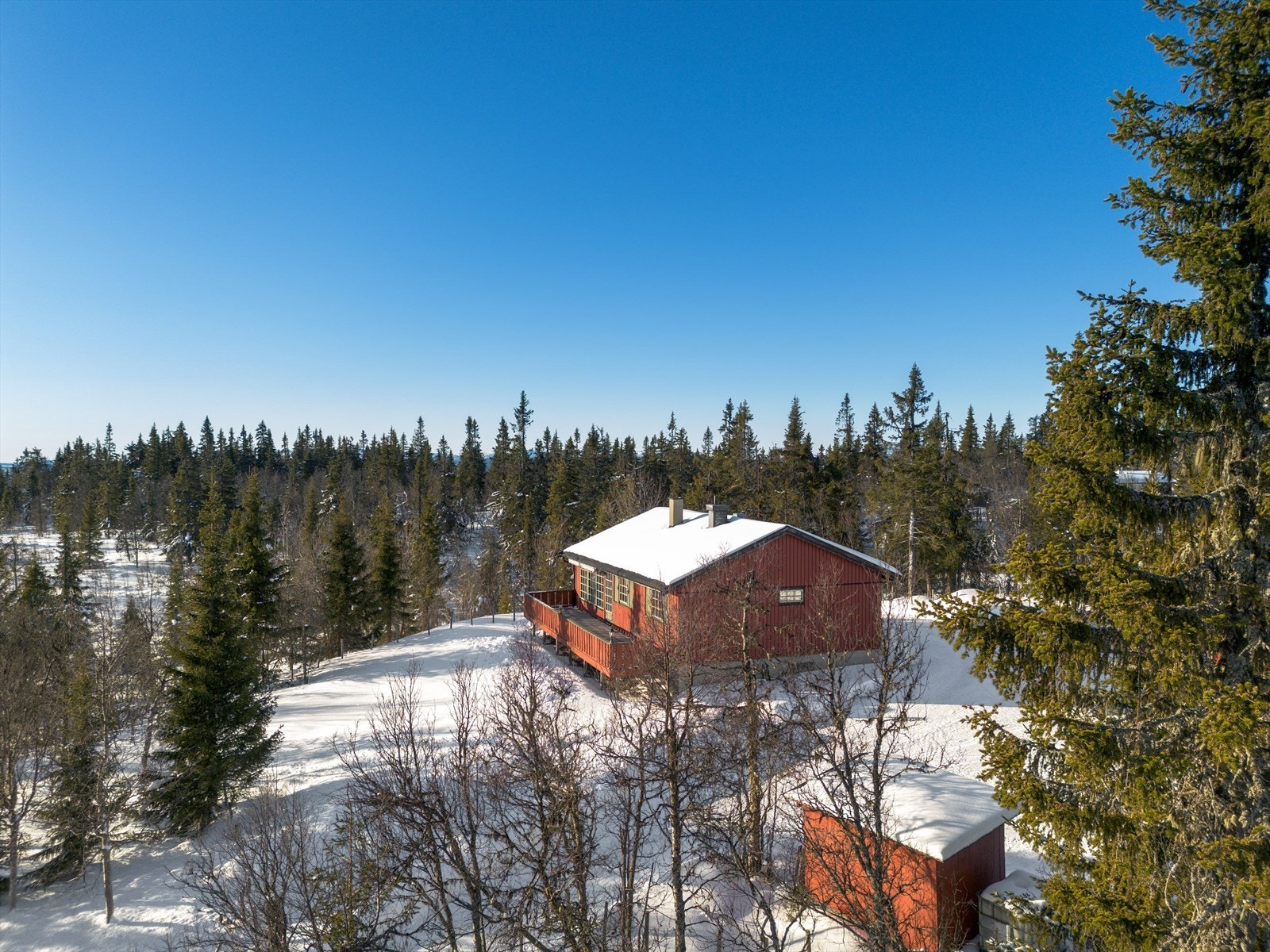 Velkommen på visning! Galleribilde