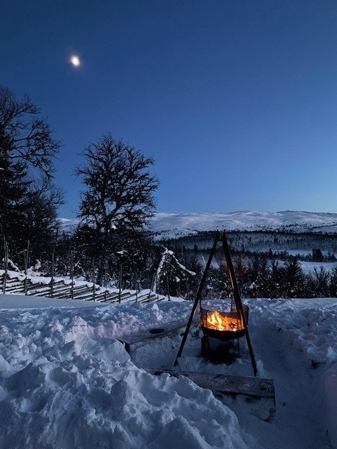 Fullmåne og bålpanne er en fin kombinasjon. (Selgers eget bilde) Galleribilde