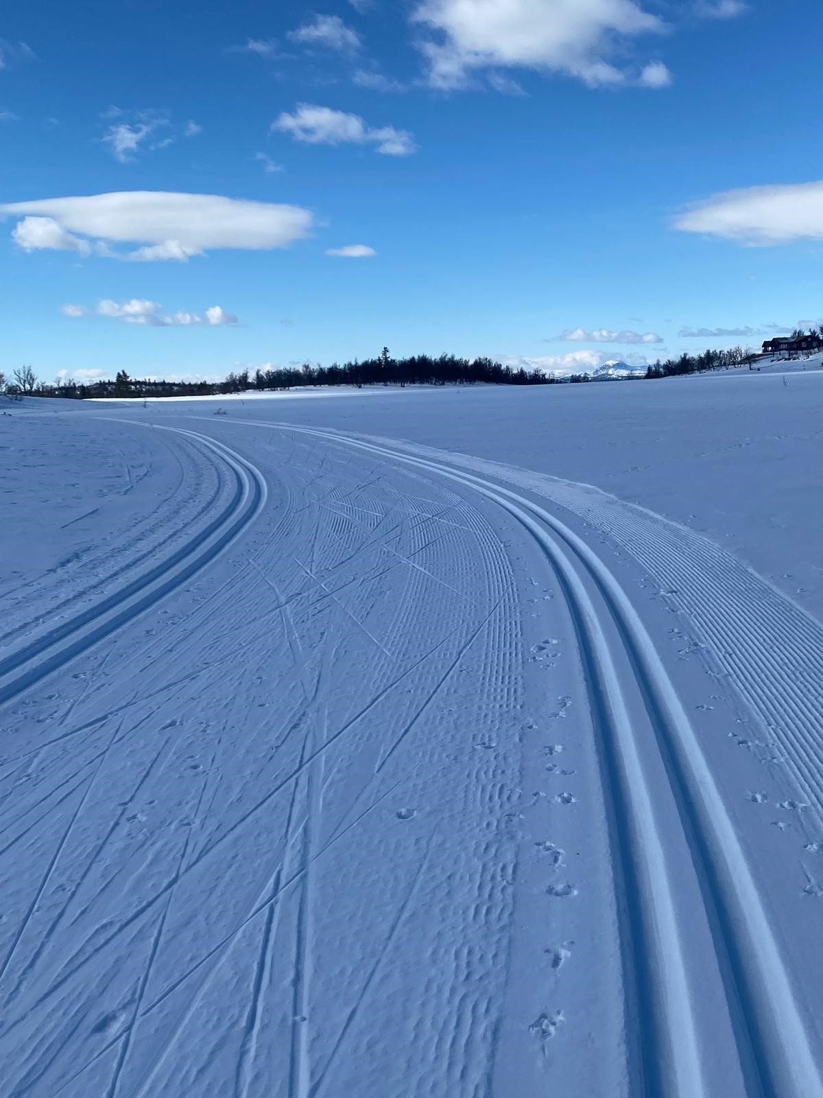 Om vinteren finner en oppkjørte skiløyper ca. 250 meter fra hytteveggen. Disse er en del av omlag 330 km med velpreparerte løyper, som stekker seg milevis innover fjellet til bl.a. Synnfjell, Hugulia og Gamlestølen (Selgers eget bilde) Galleribilde