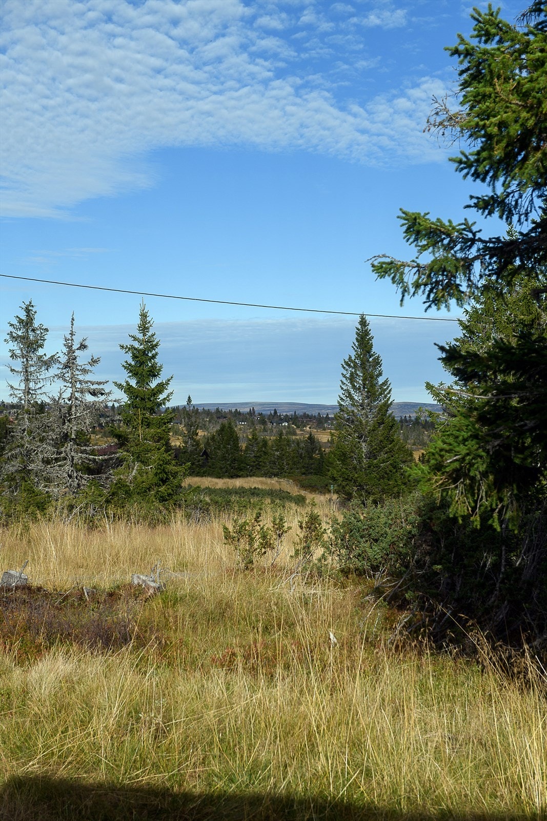 Utsikt fra tomta. Galleribilde