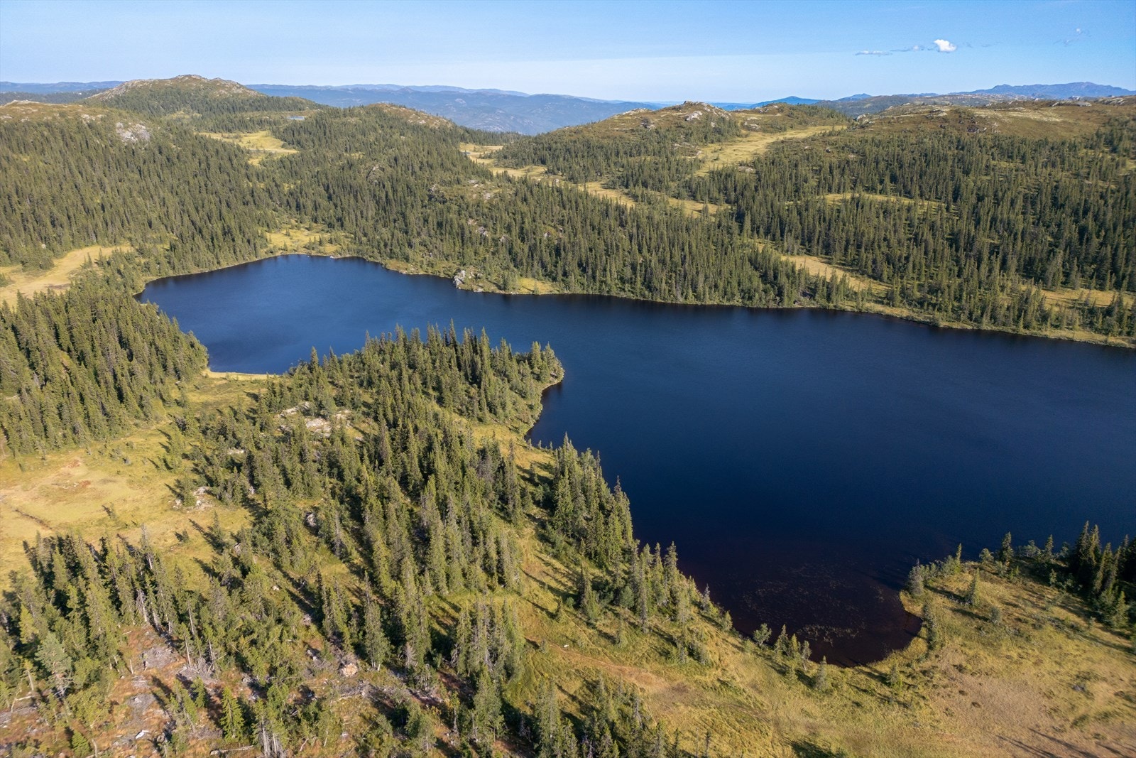 Ålsvatnet ligger en liten gåtur fra hytta. Fint turmål for familien Galleribilde