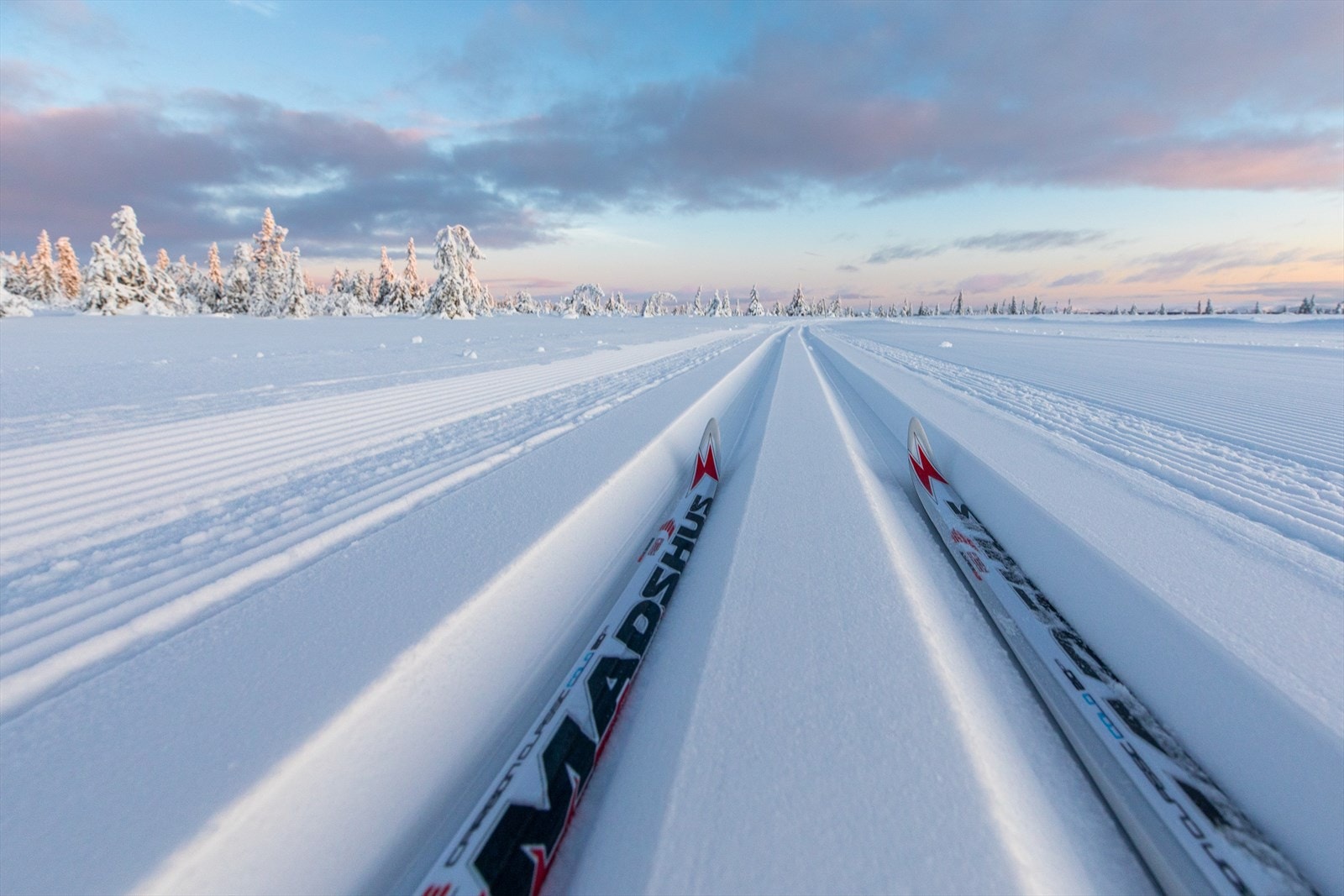 Milevis med skiløyper utenfor døra Galleribilde