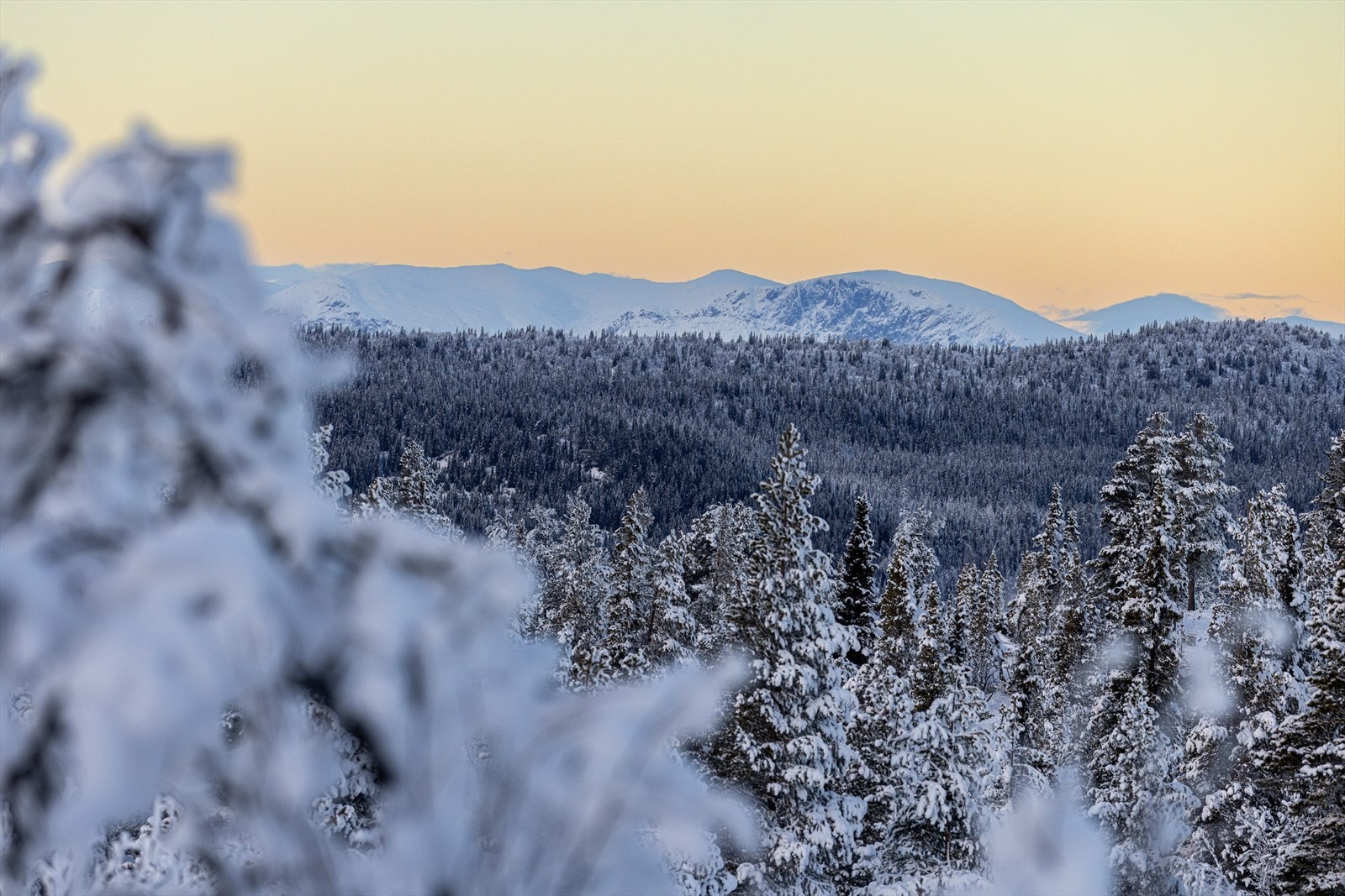 Fra stuen har du en nydelig ytsikt mot fjella i nord. Her ser du mot Hemsedal og Skogshorn. Lang og sen kveldssol sommerstid Galleribilde