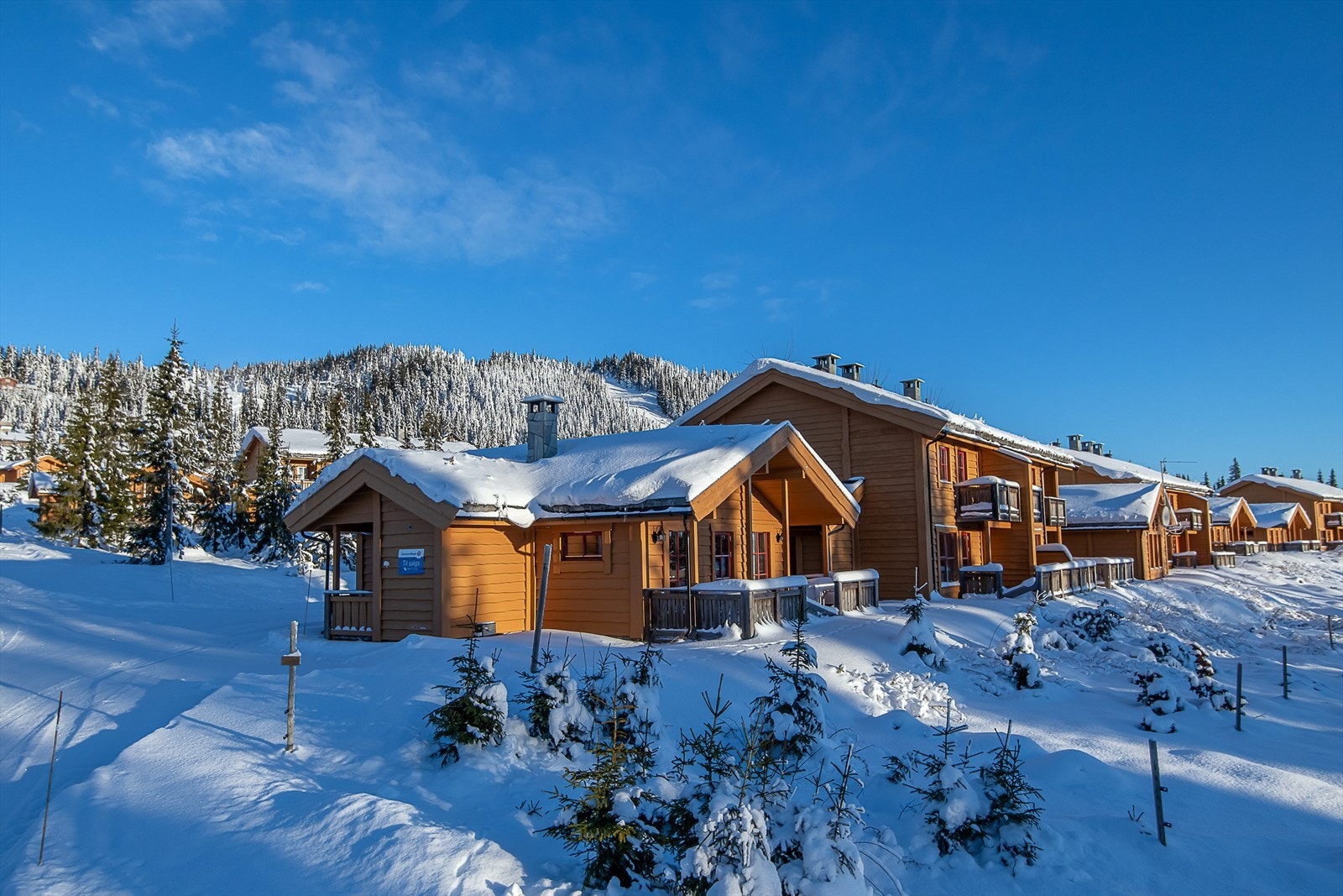 Velkommen til Eftasvegen 1! Foto: Lars Marius Bækkevold. Galleribilde