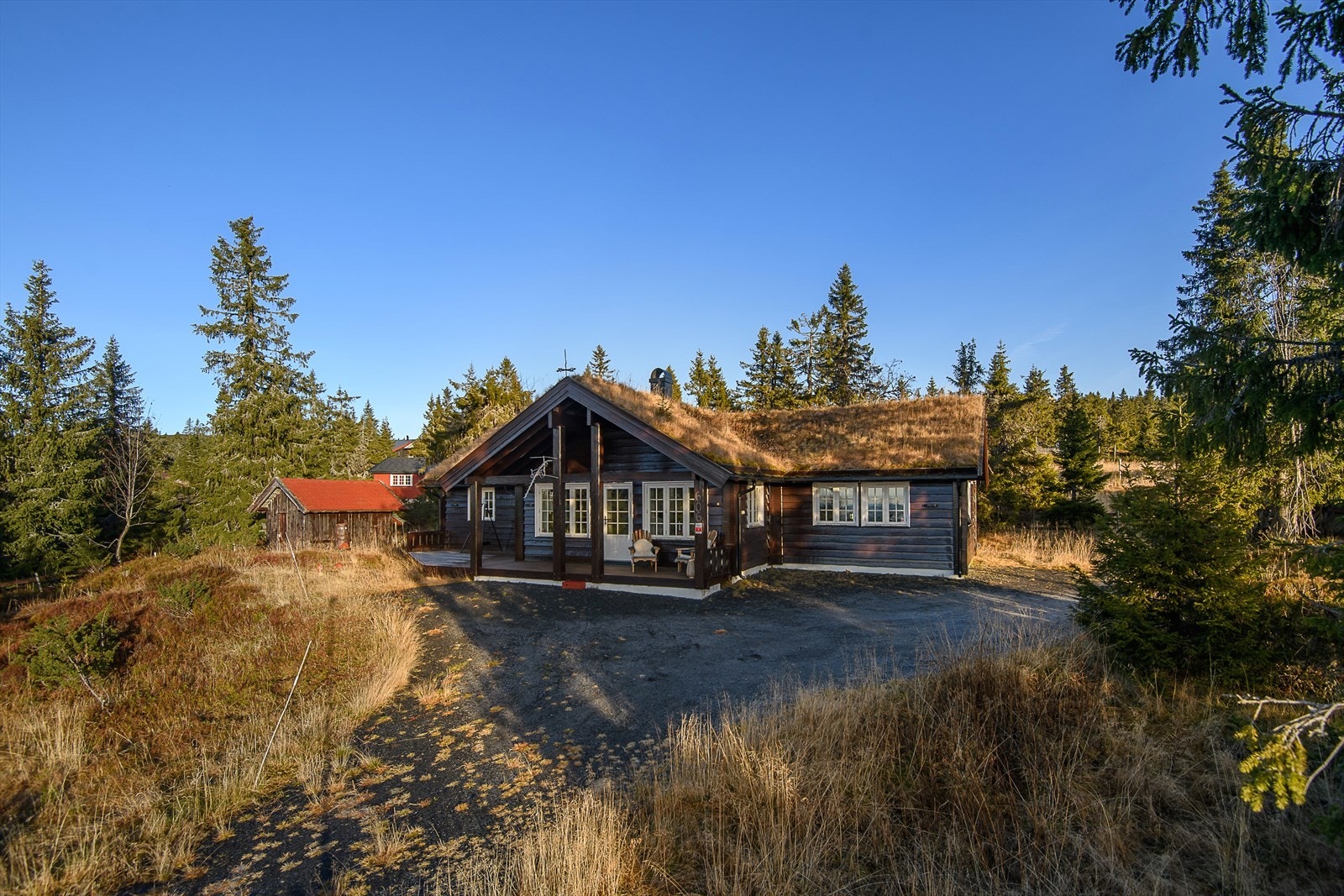 Gruset adkomst og biloppstillingsplass utenfor hytta. Den store tomta gjør at du har raust med plass å boltre deg på rundt egen hytte. Galleribilde