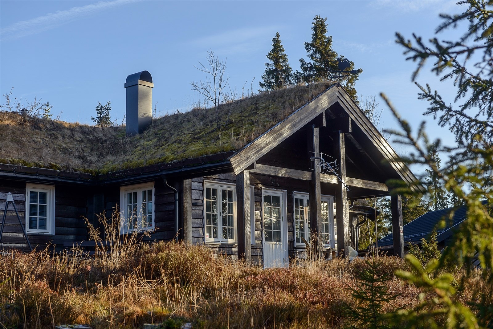 Det er lett skrånende terreng rundt hytta. Galleribilde