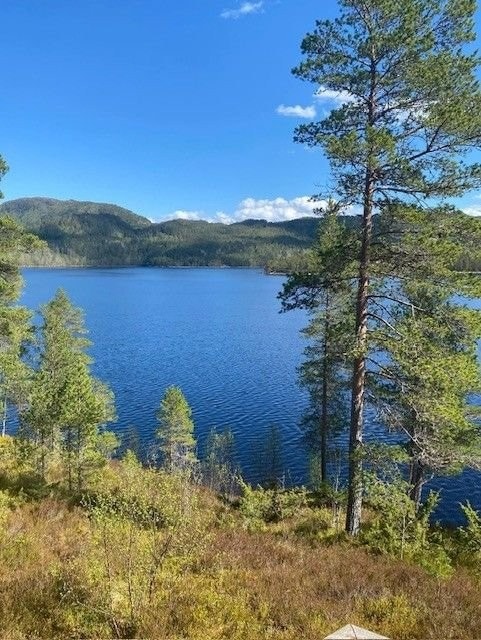 Utsikt. Galleribilde