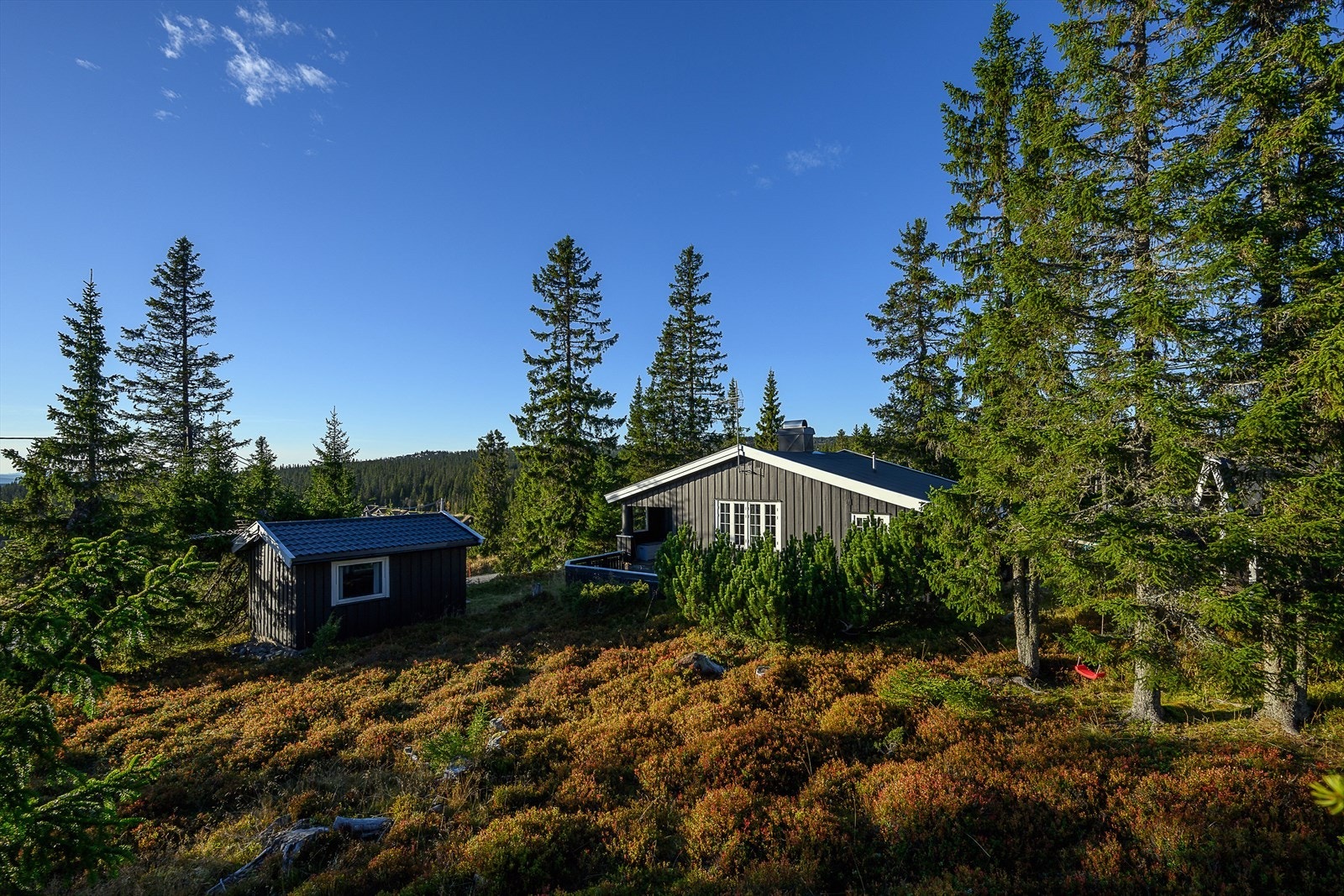 Hyttetun med garasje, anneks og badstue. Galleribilde