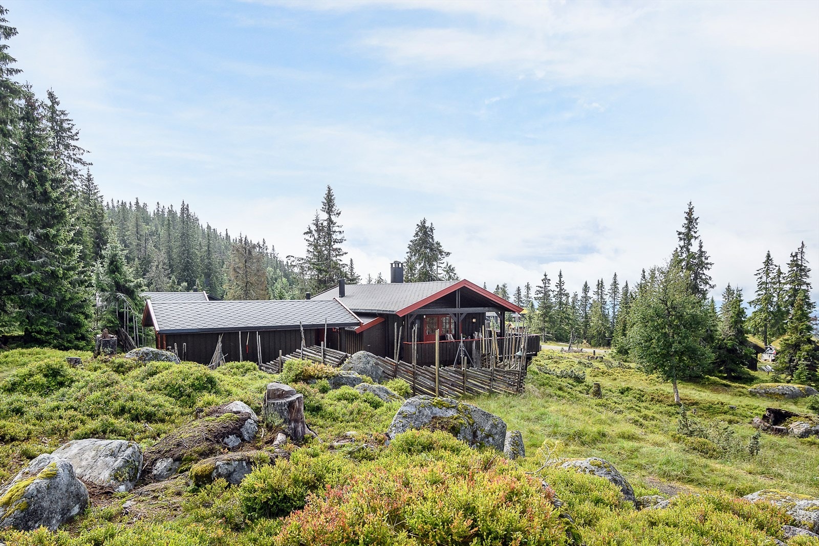 Stille og rolige omgivelser. Skjermet for innsyn og lite gjennomgangstrafikk. Galleribilde