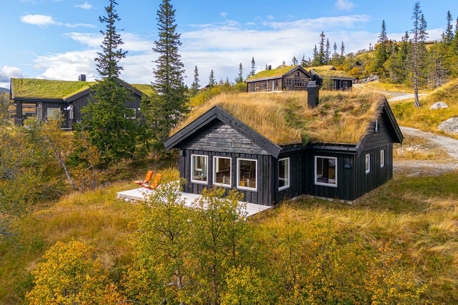 Klassisk torvtak som harmoniserer med omgivelsene Galleribilde