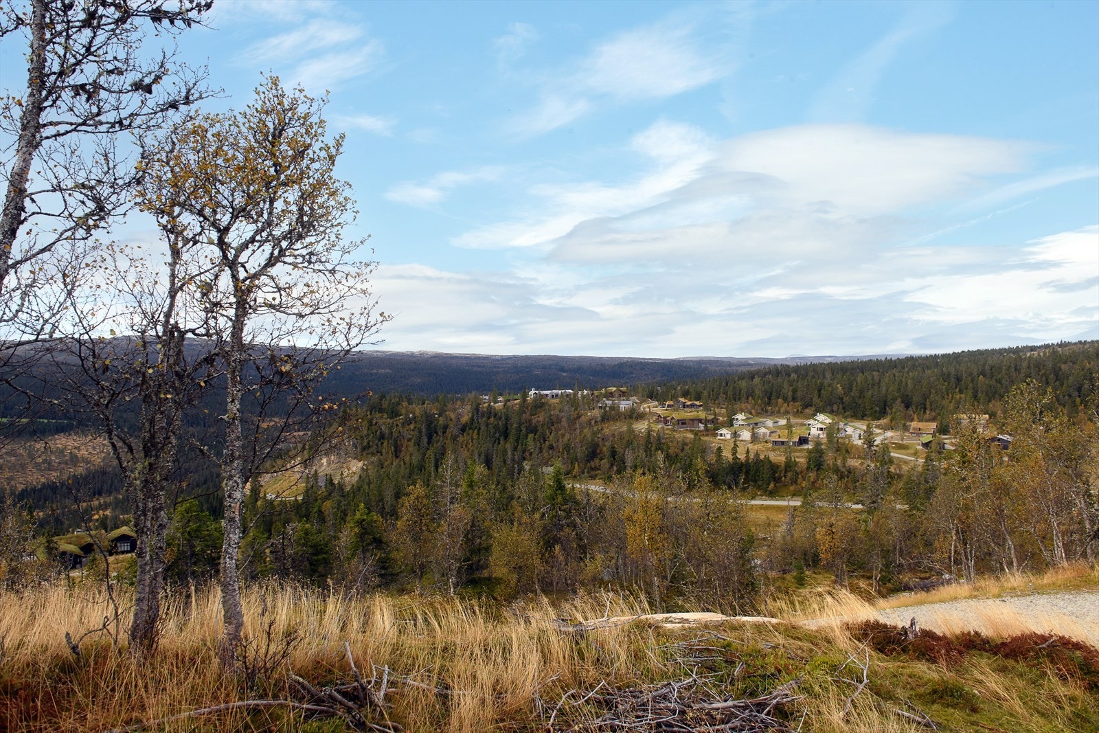 Det er gode sol- og utsiktsforhold. Galleribilde