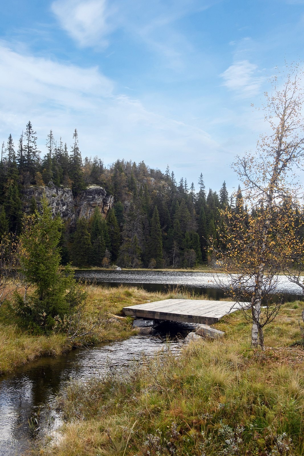 Det ligger også flere fiskevann i området. Galleribilde