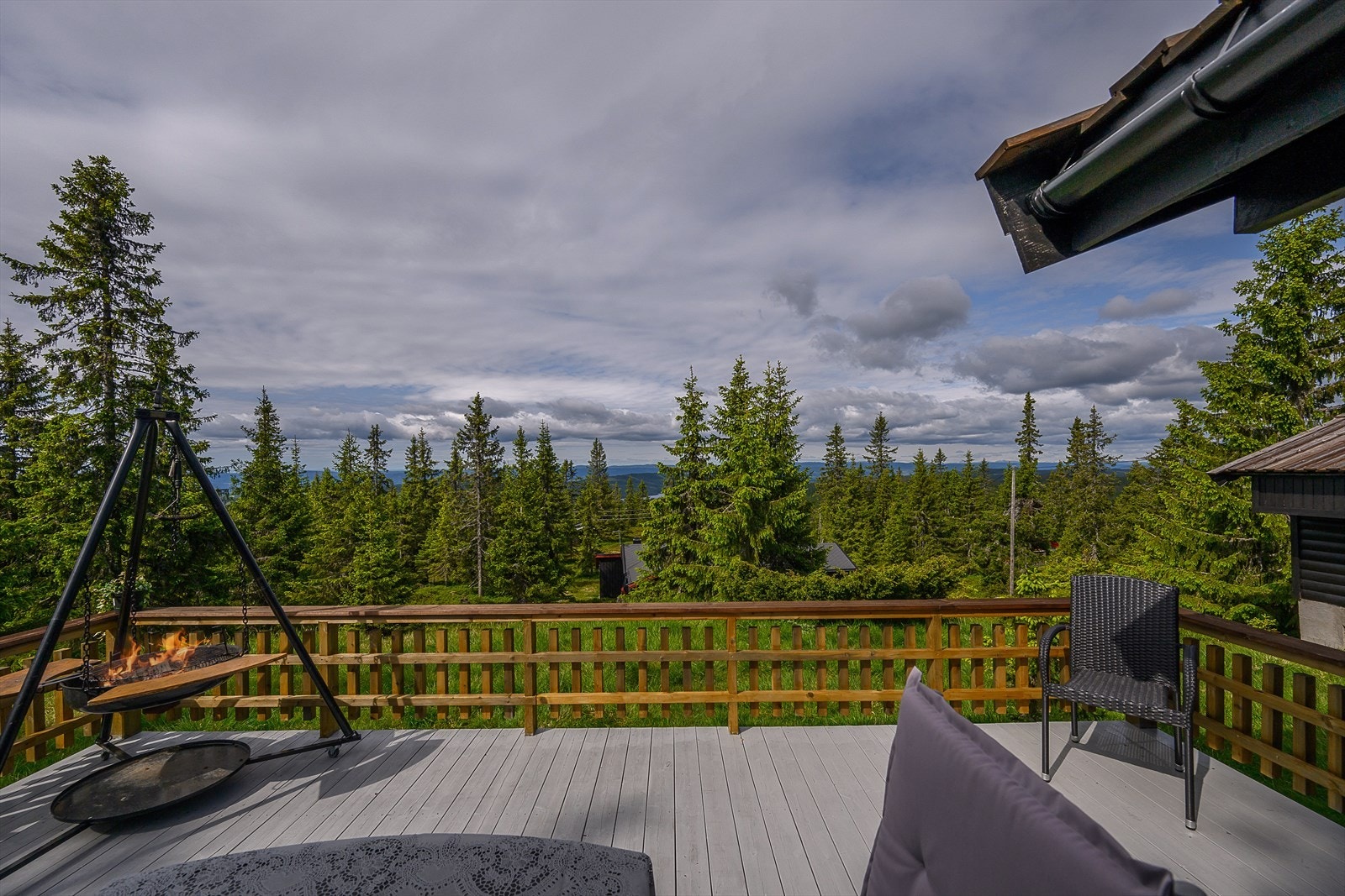 Her kan du finne roen! Galleribilde