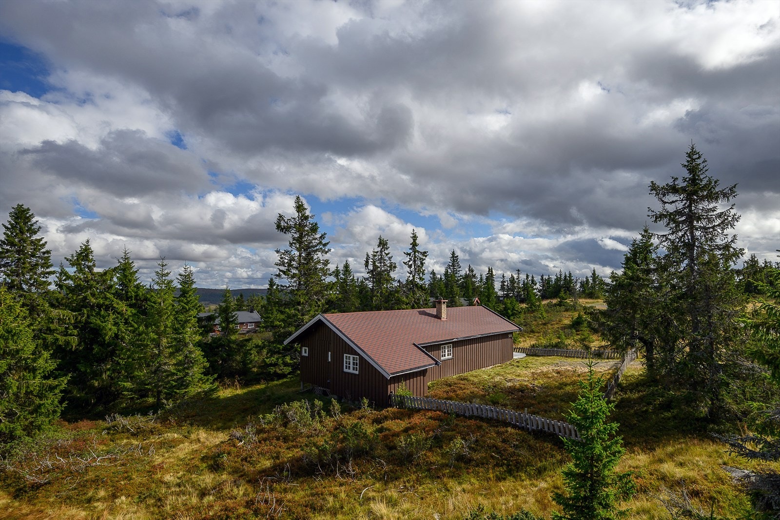 Det er gangavstand ned til sentrum av Sjusjøen fra hytta. Der finnes både dagligvare, sportsbutikk, serveringssteder m.m. Galleribilde